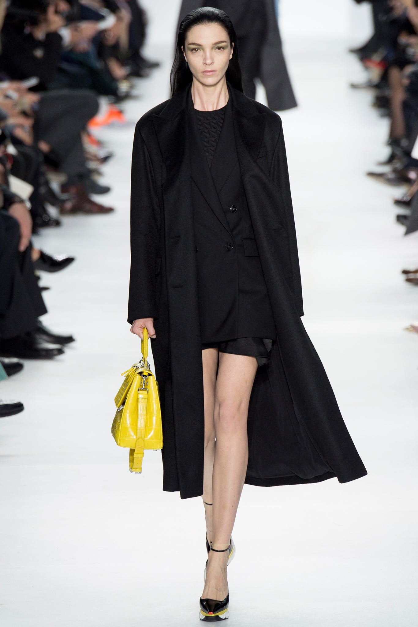Christian Dior F/W 14 Look 7
