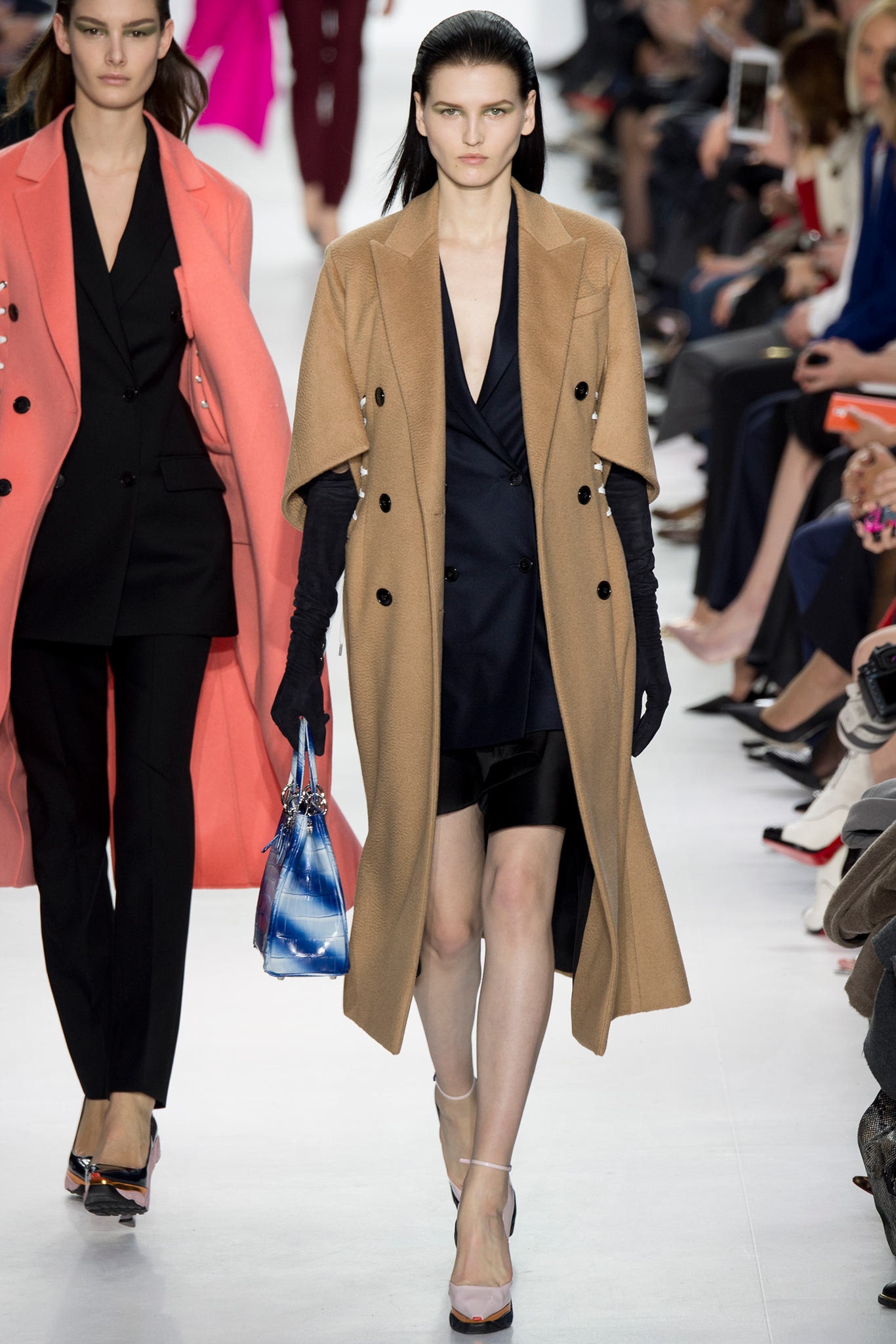 Christian Dior F/W 14 Look 19