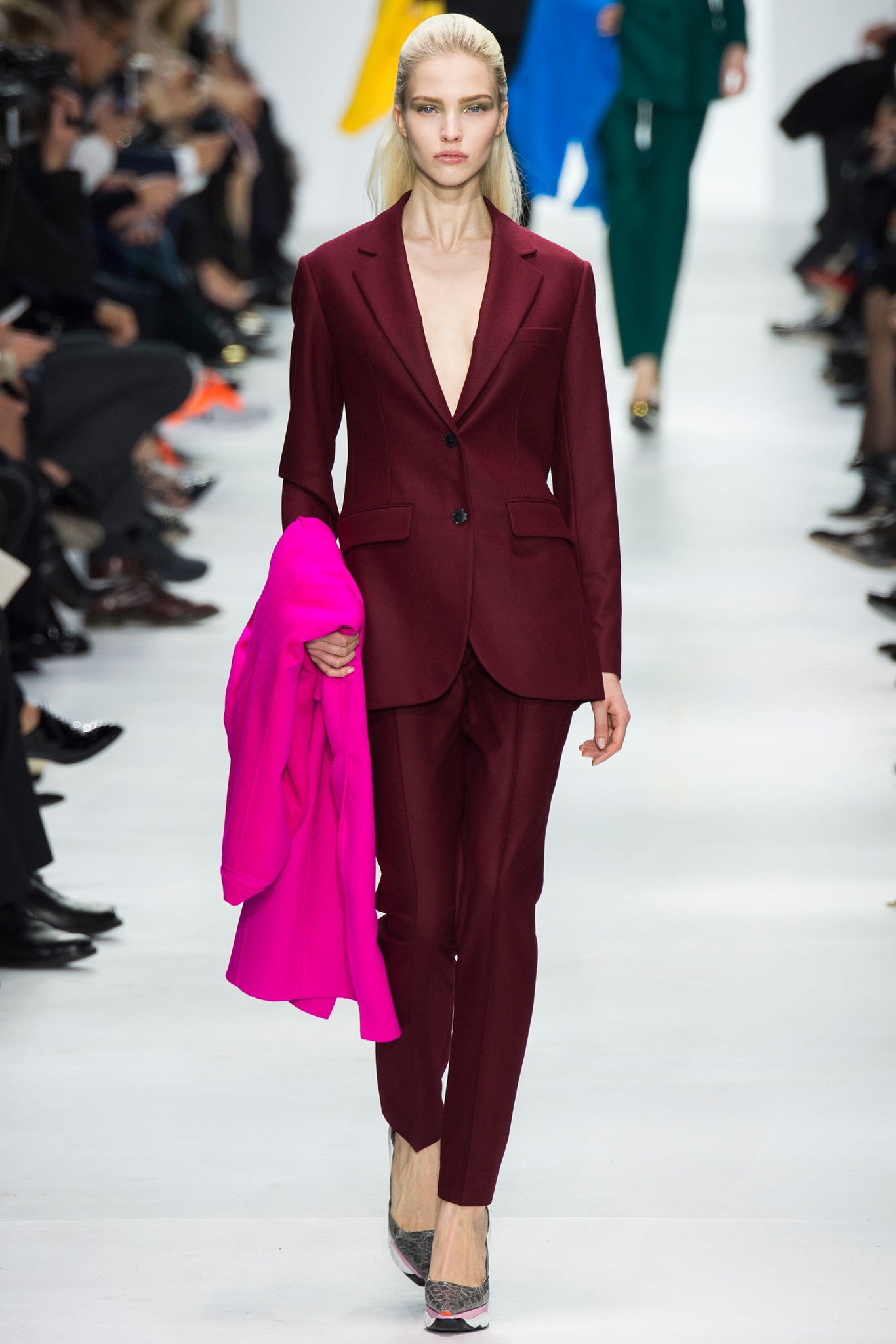 Christian Dior F/W 14 Look 31