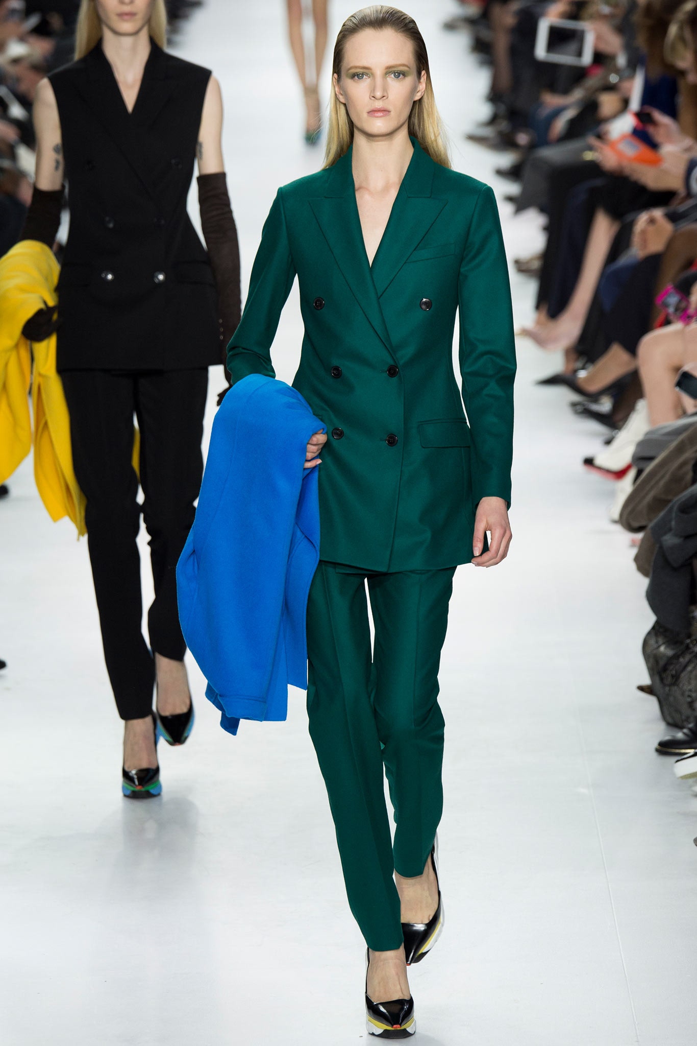 Christian Dior F/W 14 Look 38