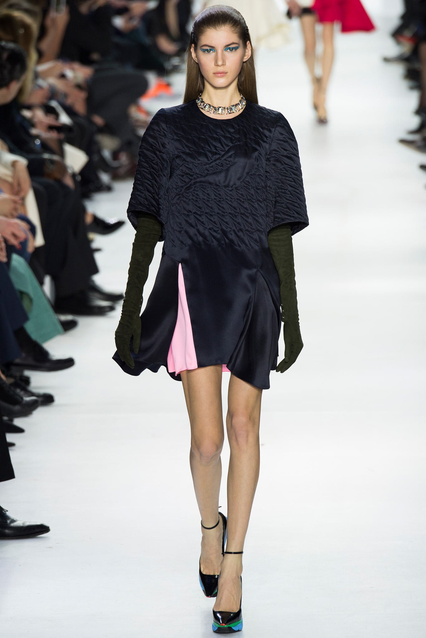 Christian Dior F/W 14 Look 48