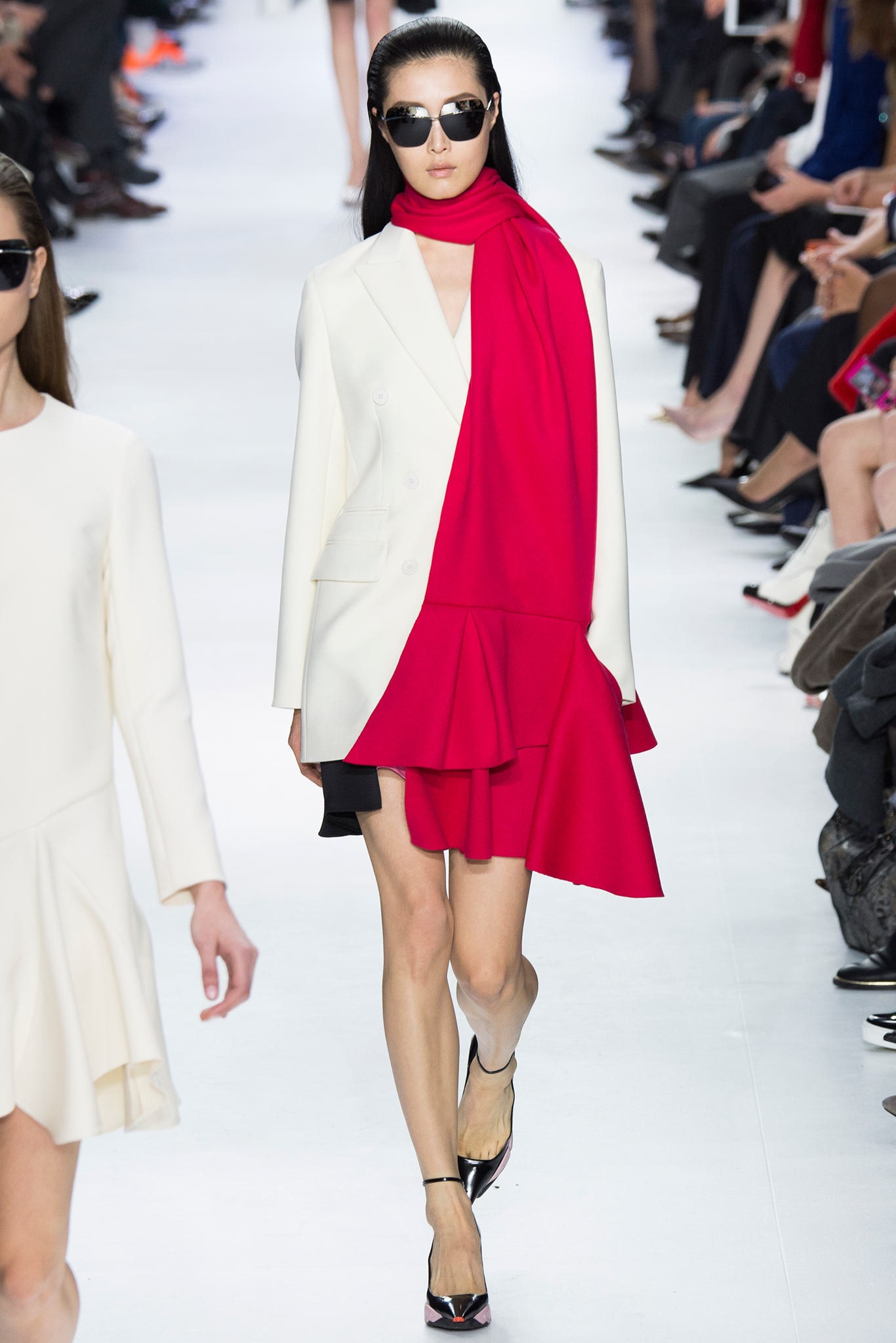 Christian Dior F/W 14 Look 58