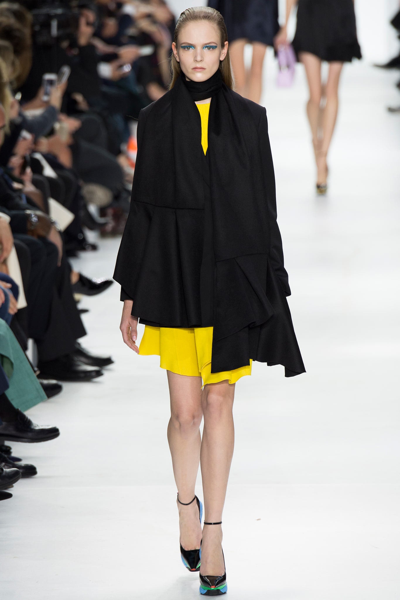 Christian Dior F/W 14 Look 70