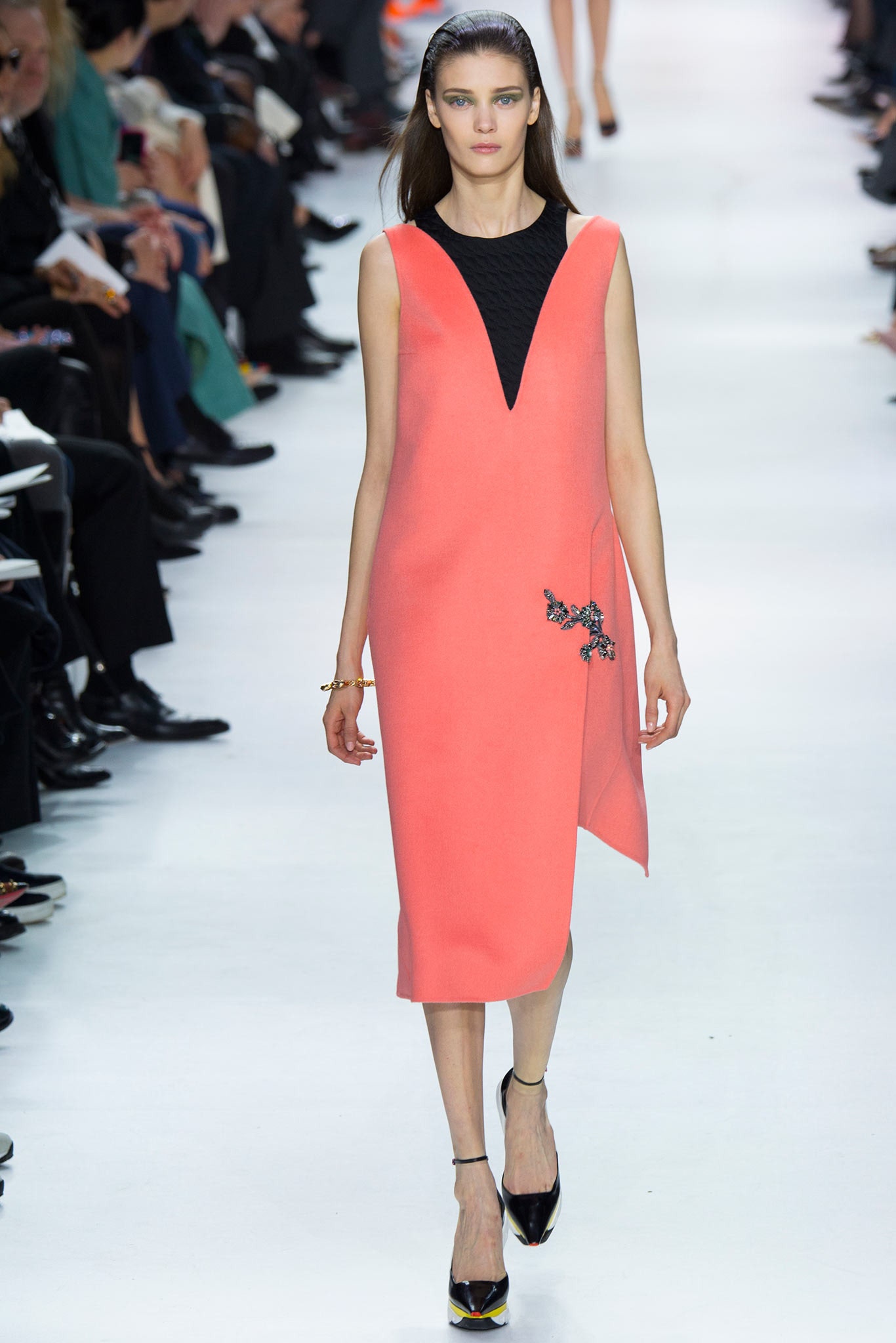 Christian Dior F/W 14 Look 98
