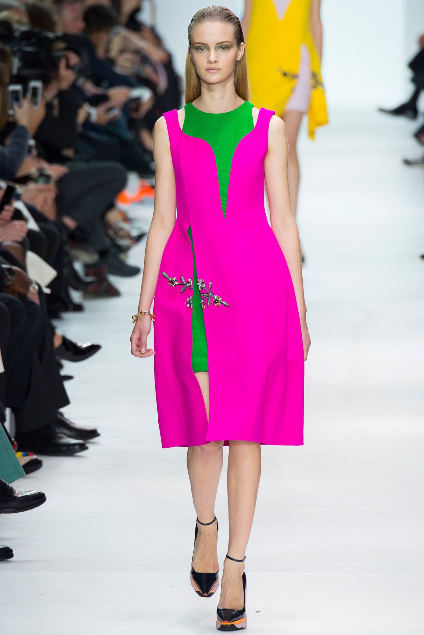 Christian Dior F/W 14 Look 106