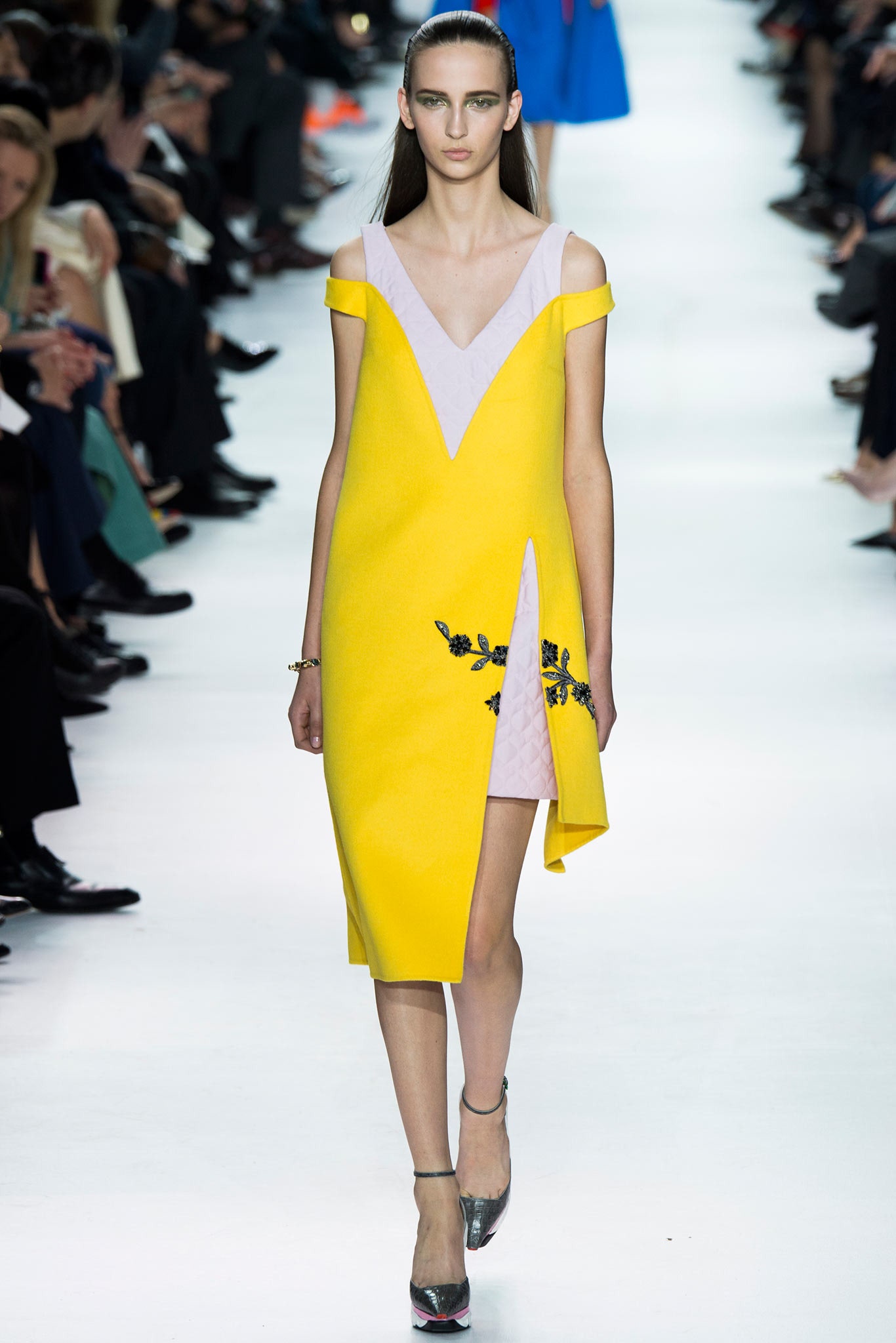 Christian Dior F/W 14 Look 111