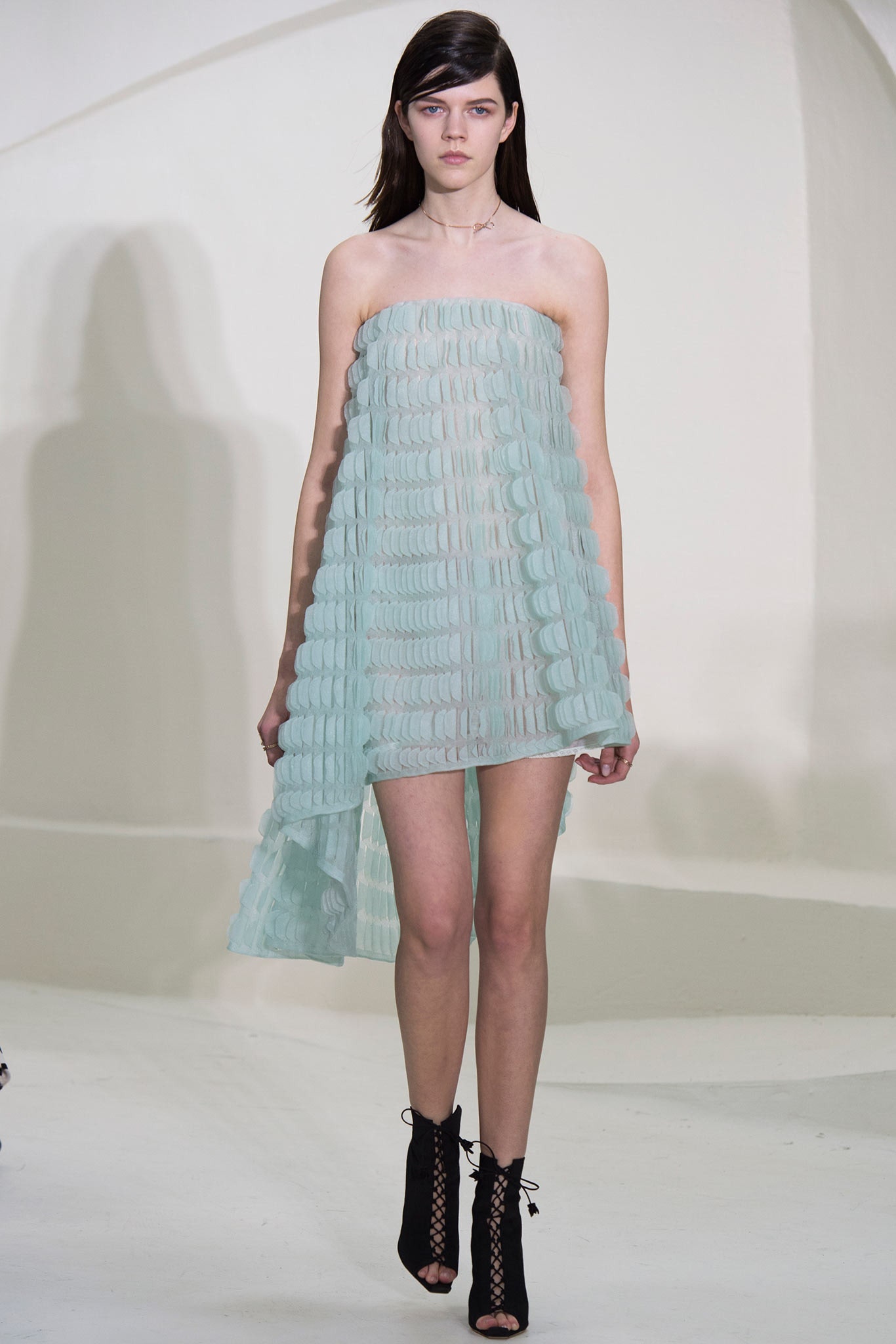 Christian Dior S/S 14 Couture Look 172