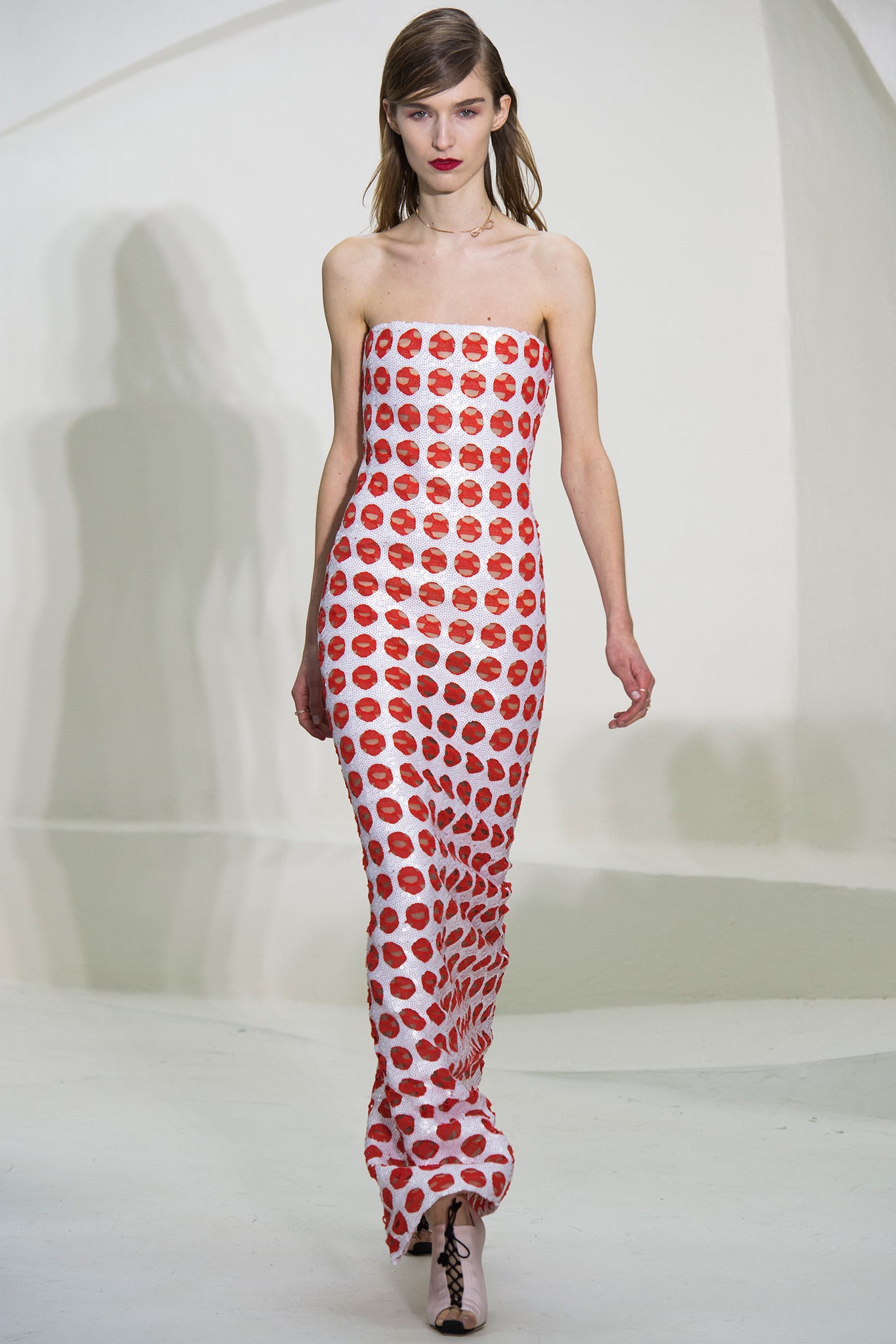 Christian Dior S/S 14 Couture Look 274