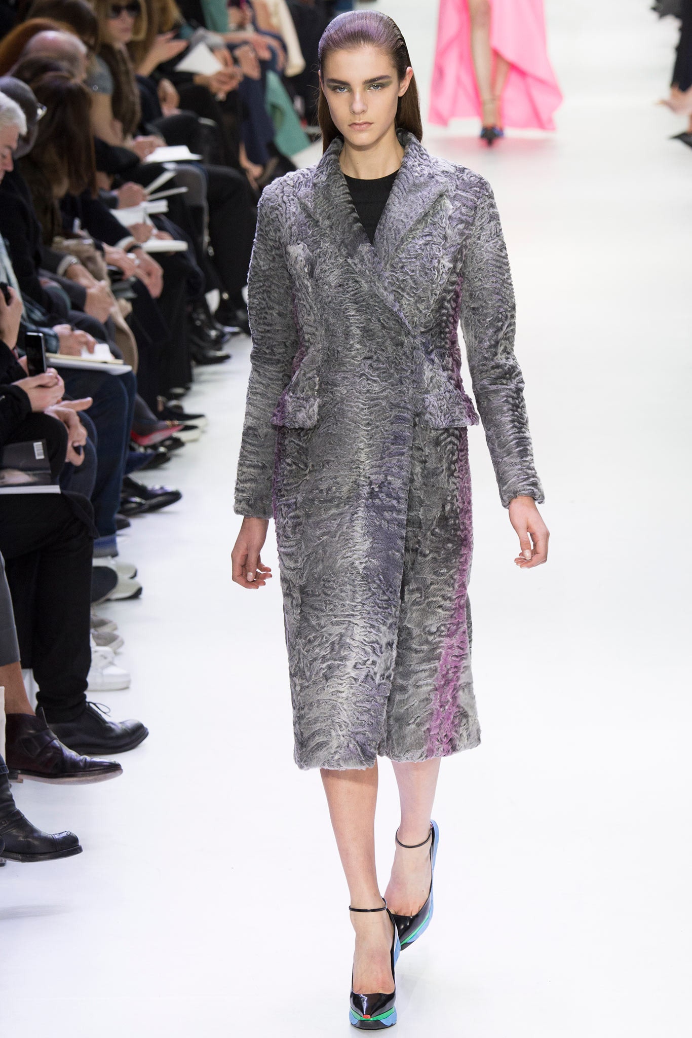Christian Dior F/W 14 Look 219