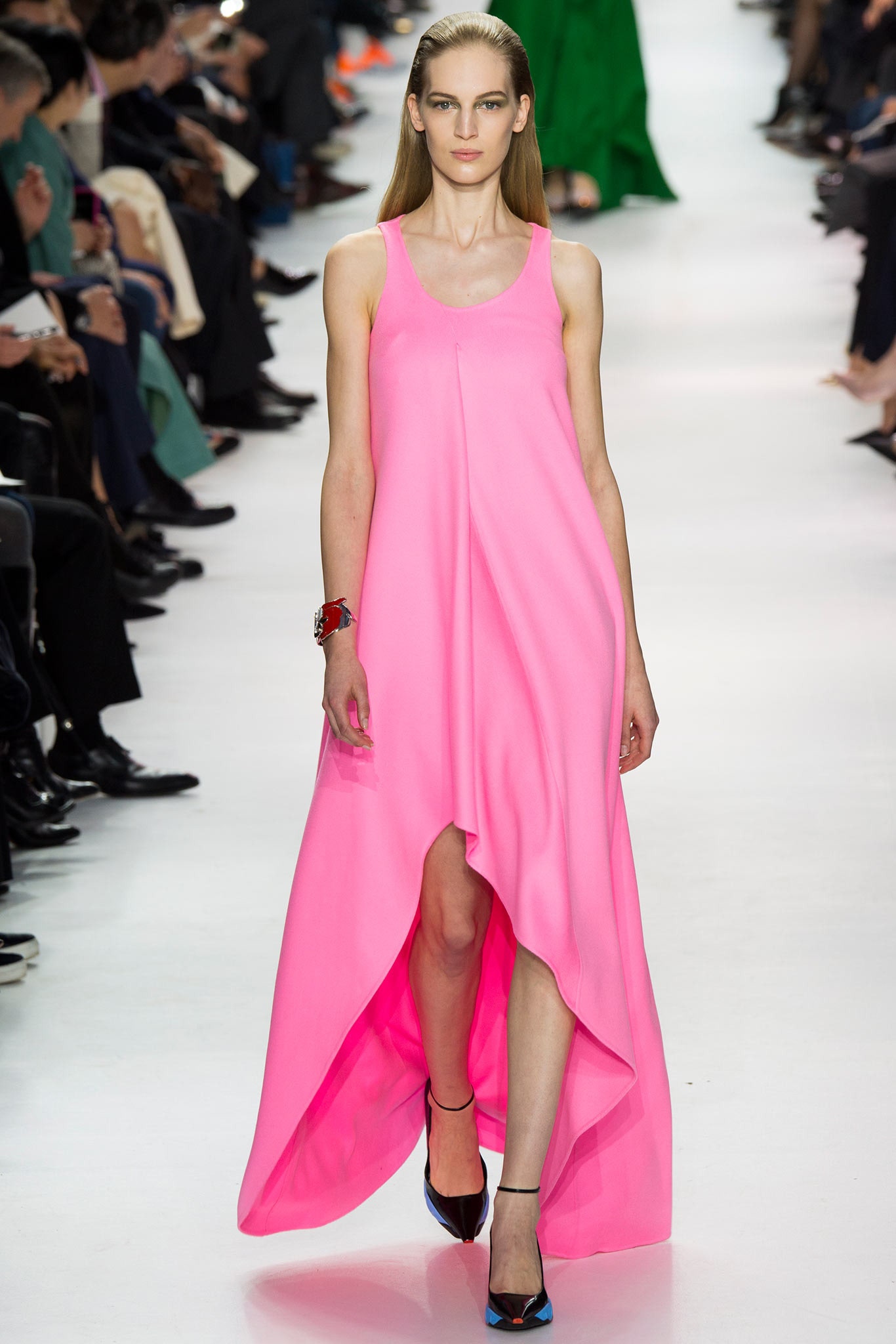Christian Dior F/W 14 Look 223