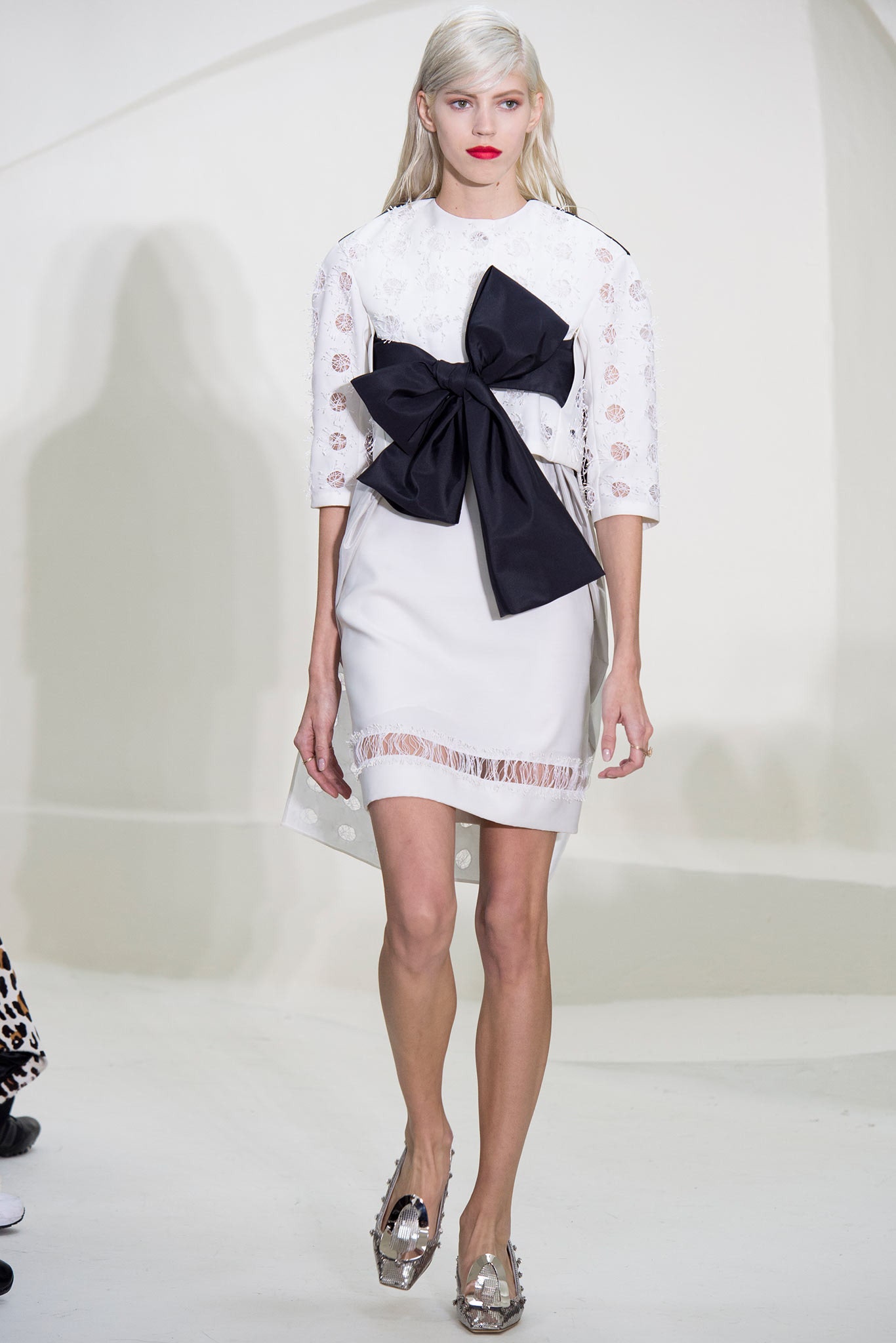 Christian Dior S/S 14 Couture Look 318