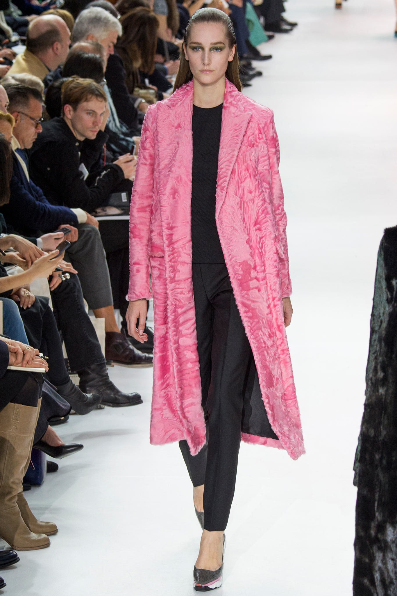 Christian Dior F/W 14 Look 250