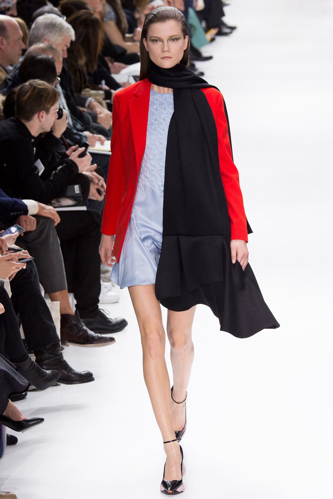 Christian Dior F/W 14 Look 298