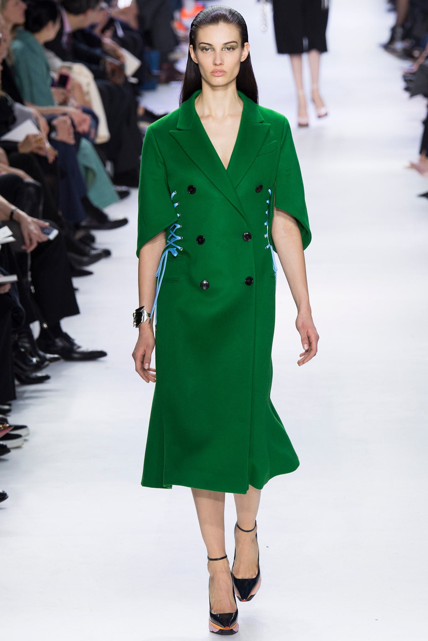 Christian Dior F/W 14 Look 334