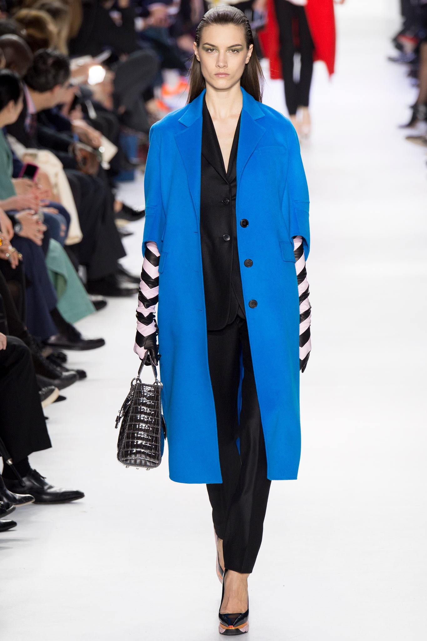 Christian Dior F/W 14 Look 348