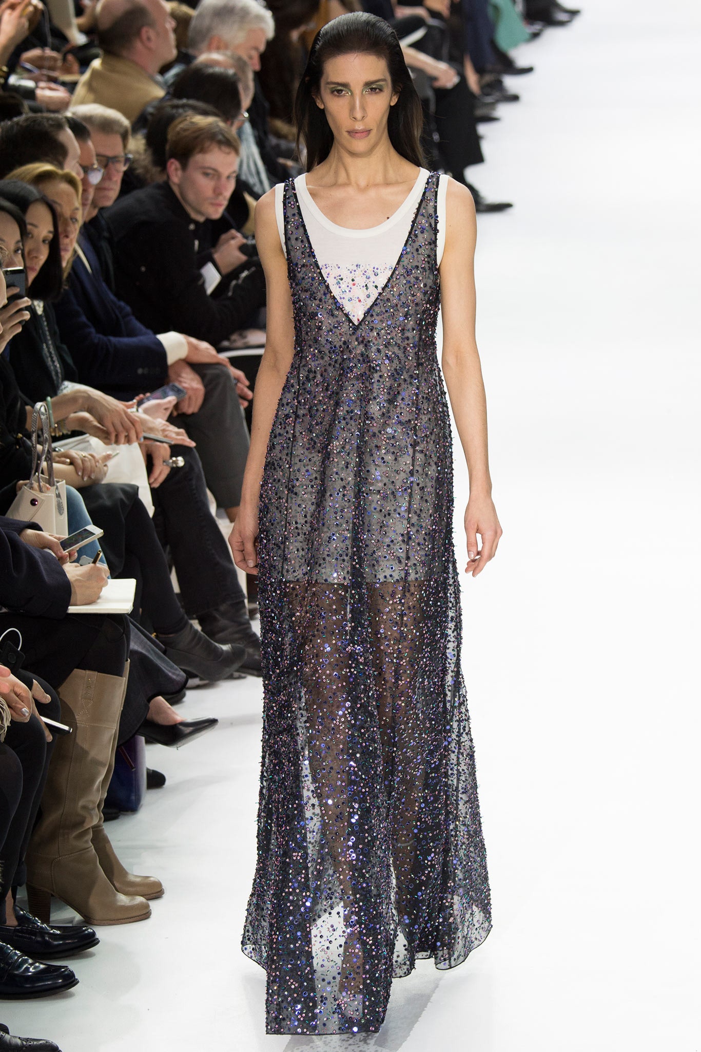 Christian Dior F/W 14 Look 387