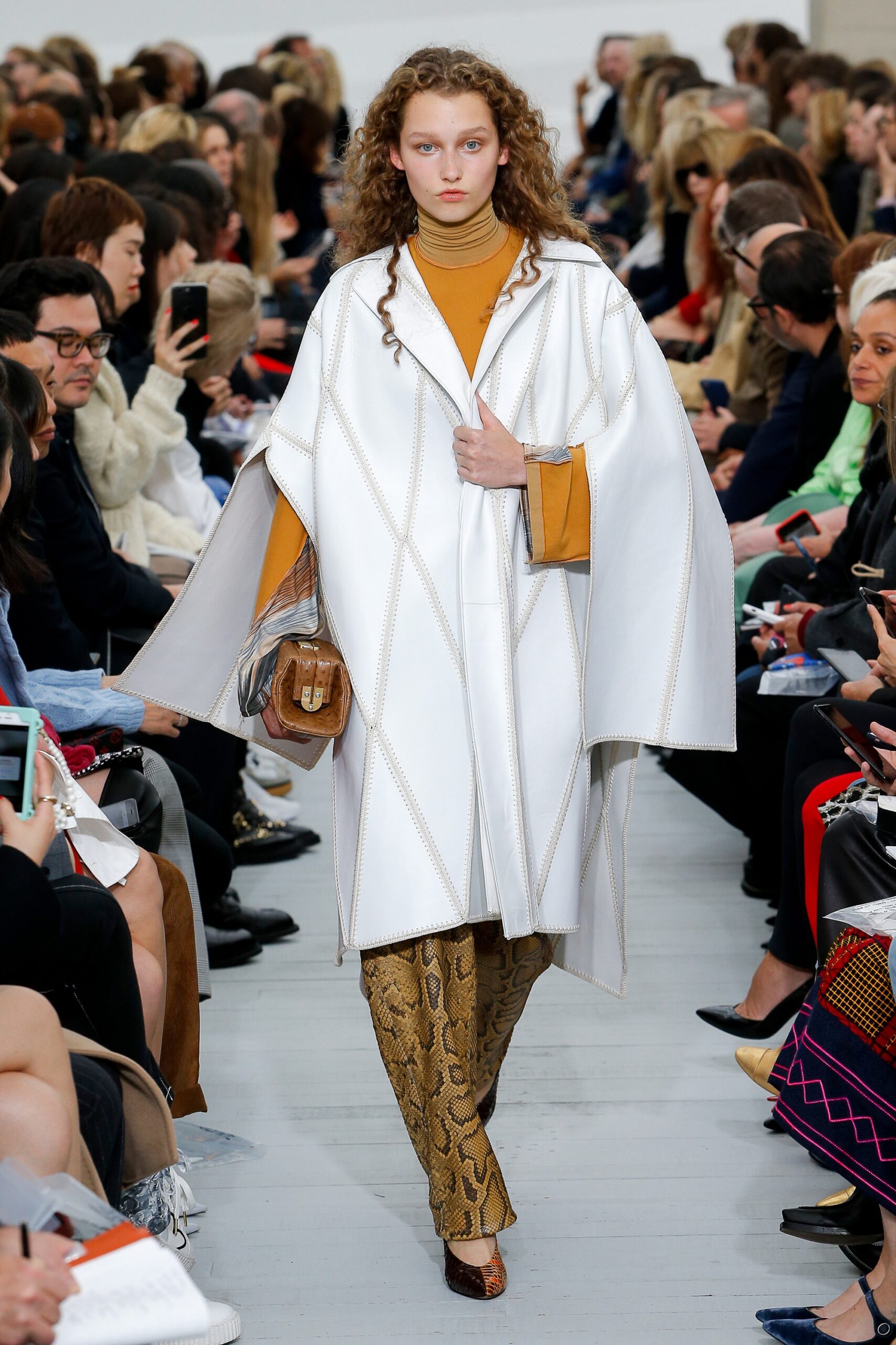 Celine S/S 18 Look 366