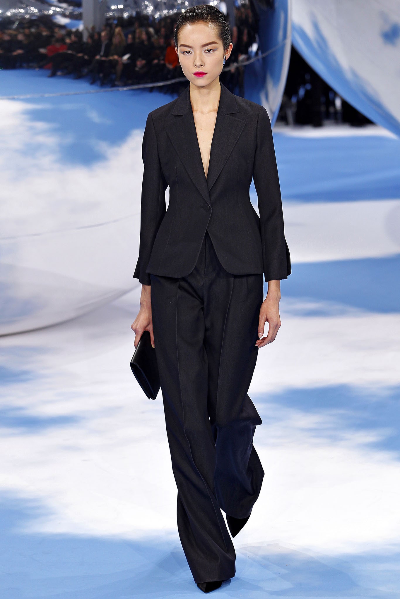 Christian Dior F/W 13 Look 37