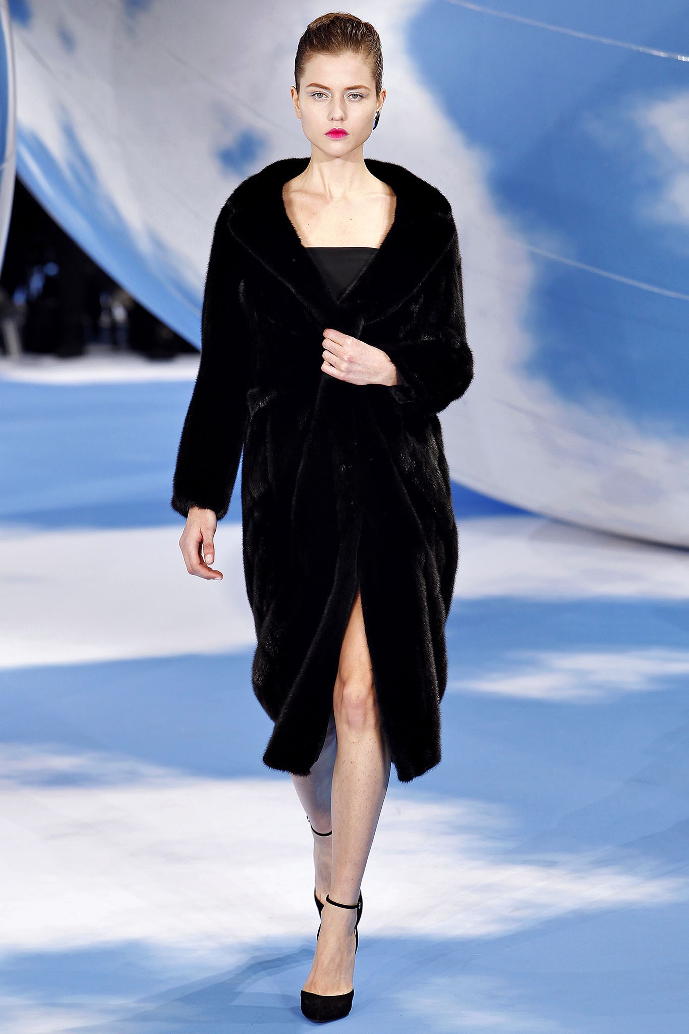 Christian Dior F/W 13 Look 220