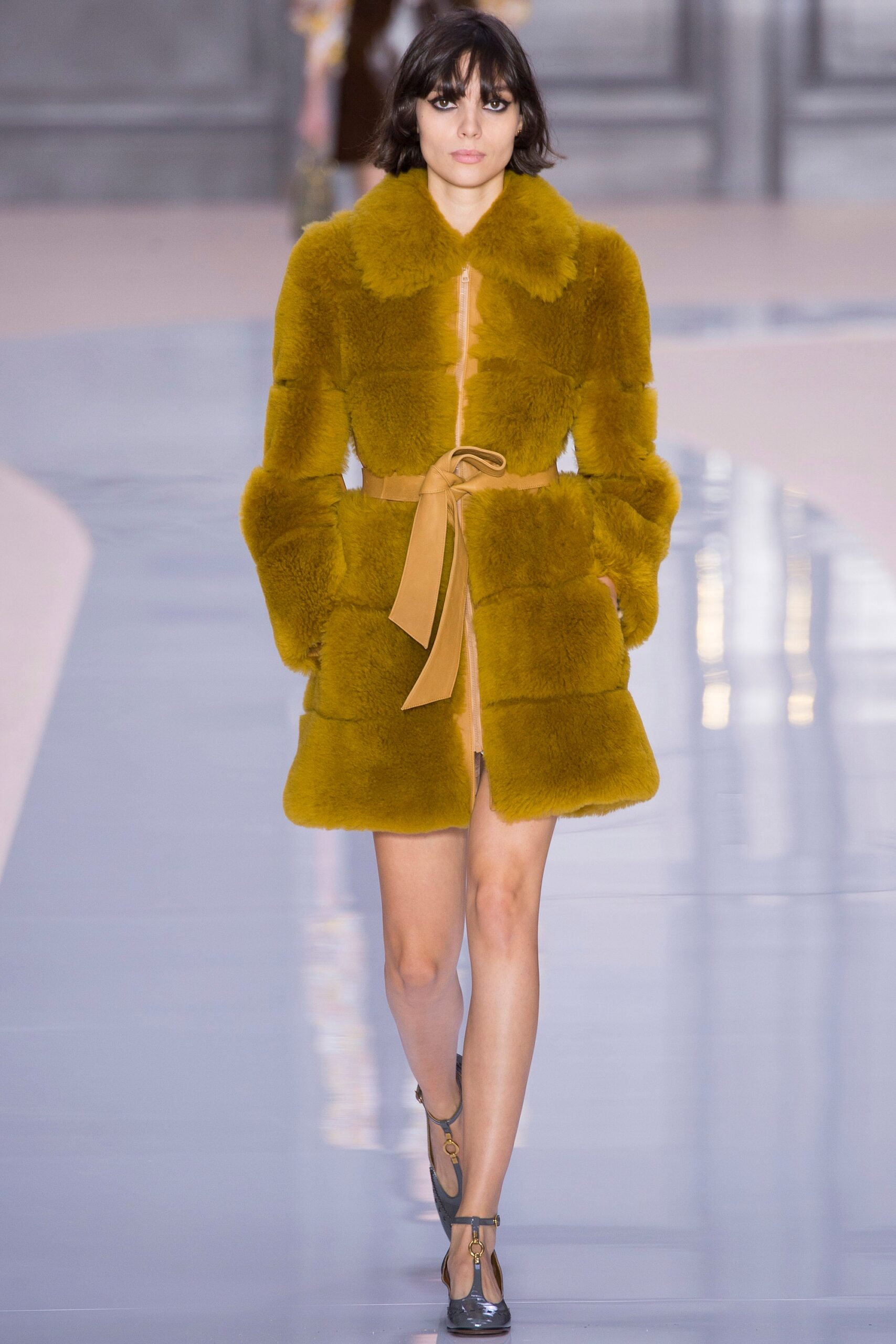 Chloé F/W 17 Look 29