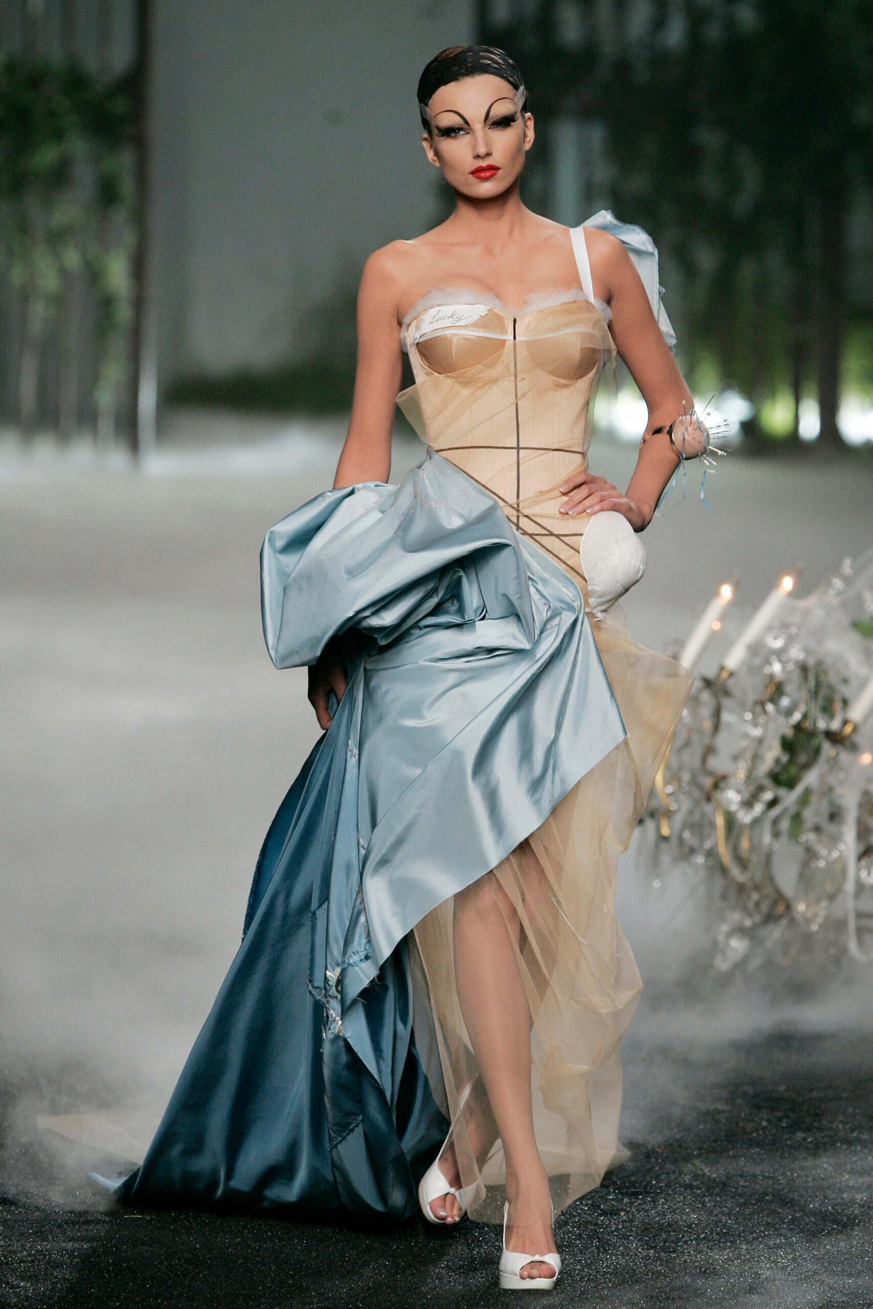 Christian Dior F/W 05 Couture Look 54