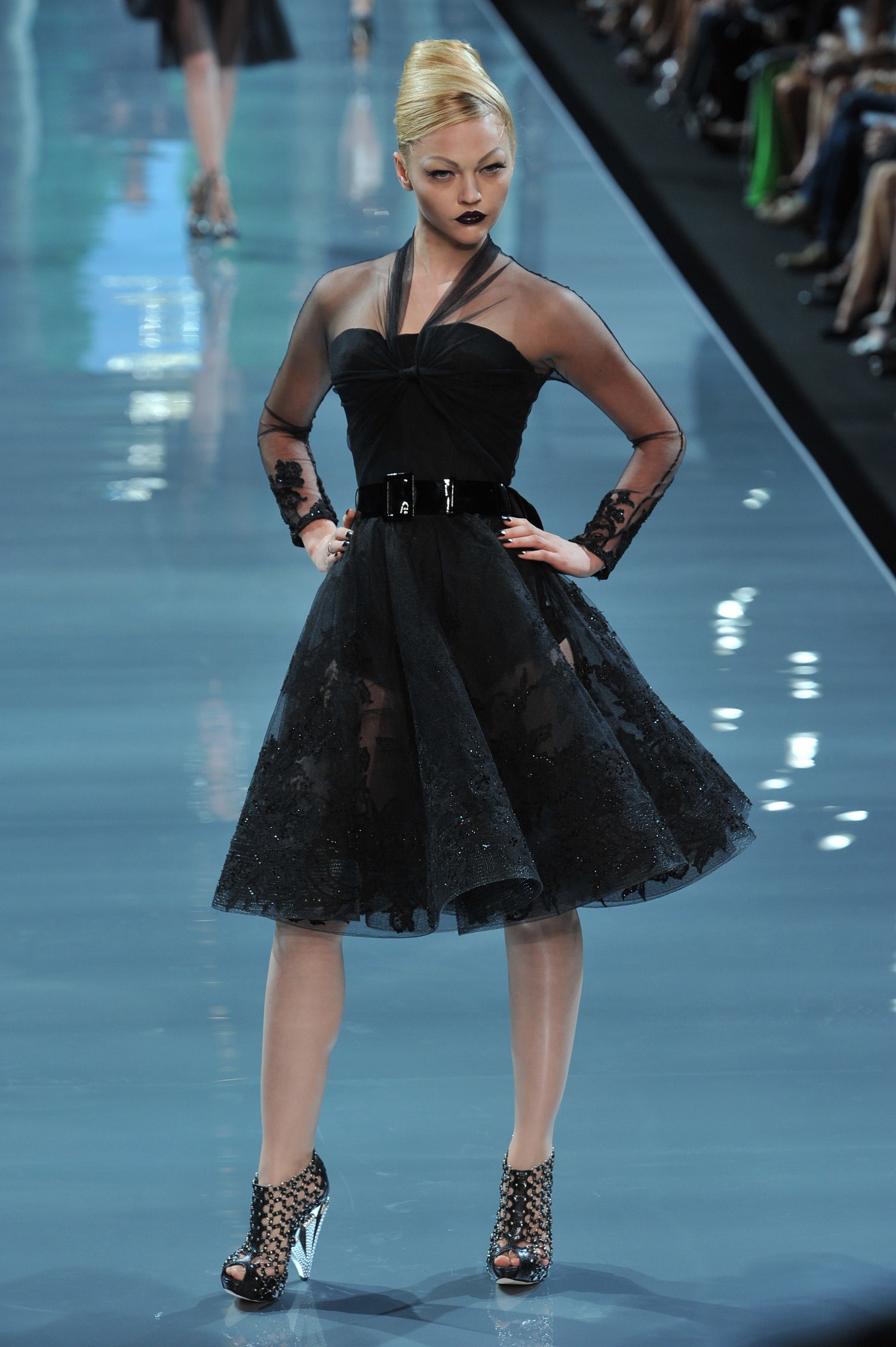 Christian Dior F/W 08 Couture Look 26