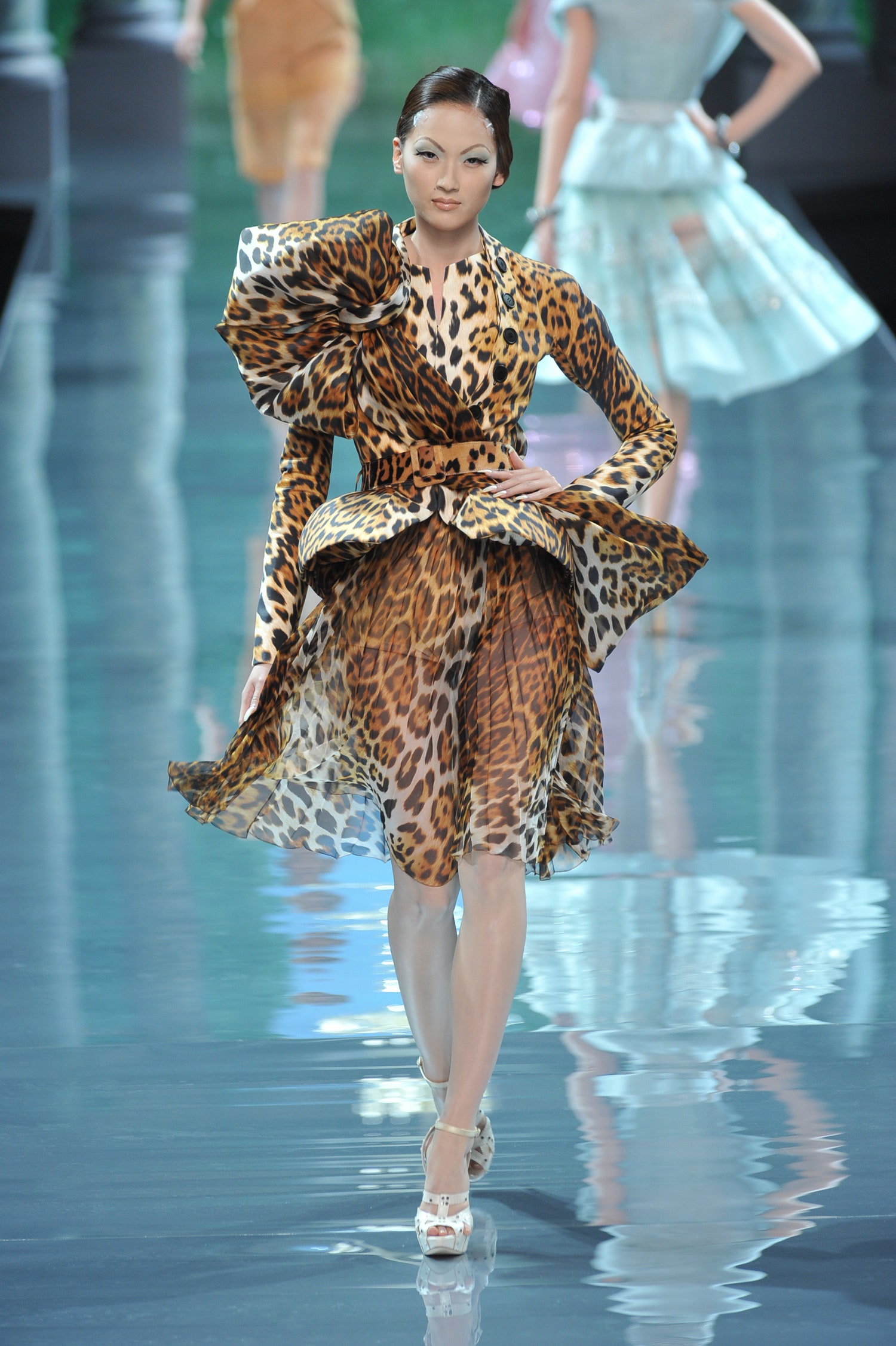 Christian Dior F/W 08 Couture Look 116