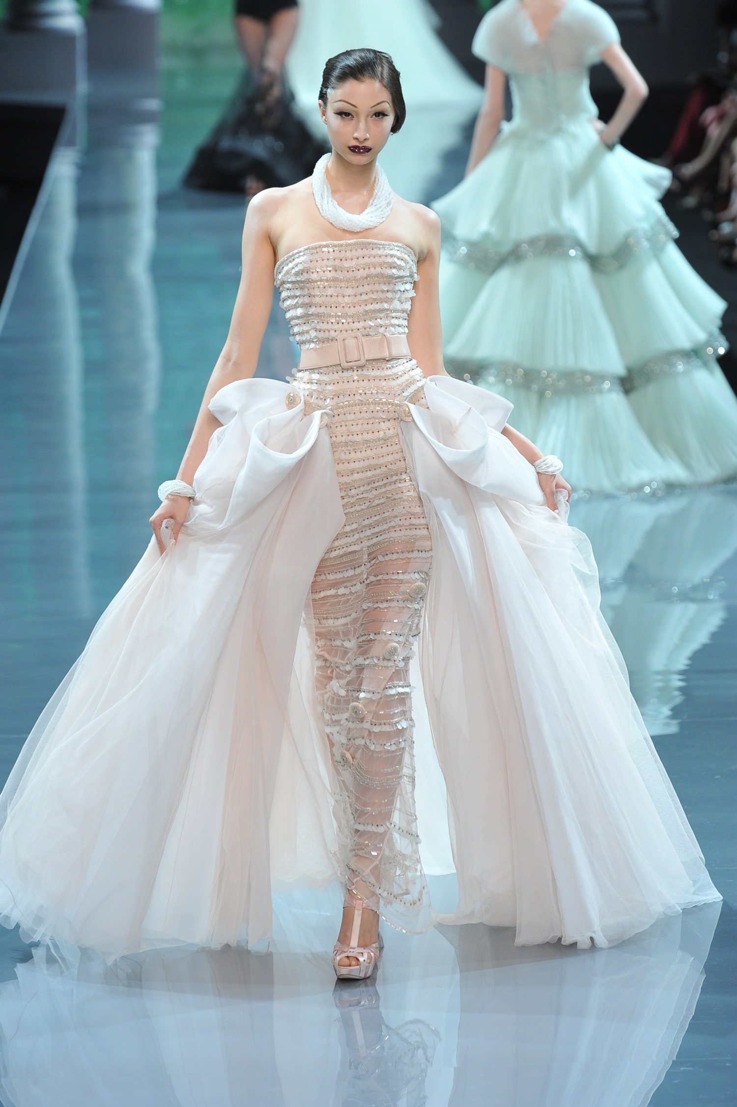Christian Dior F/W 08 Couture Look 214
