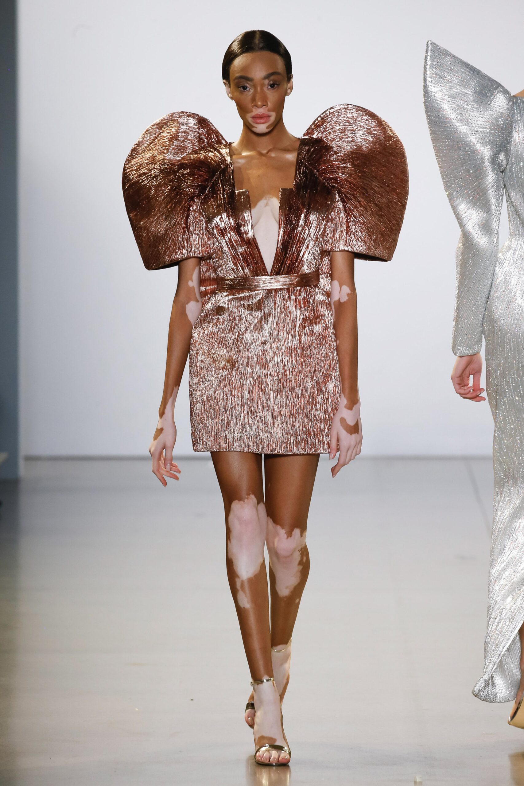 Cong Tri F/W 19 Look 462