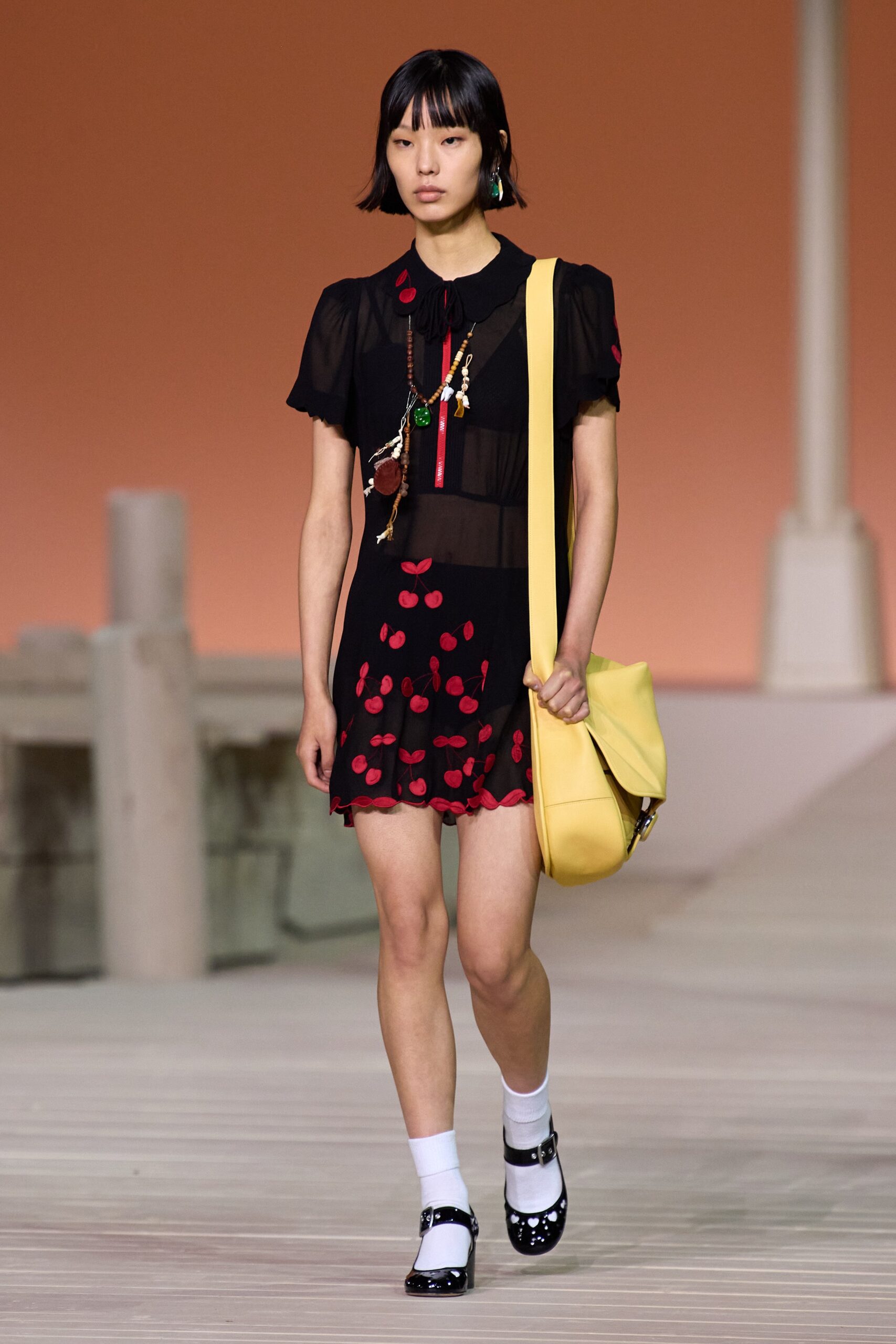 Coach S/S 23 Look 391