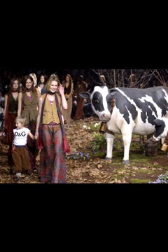 D&G F/W 02 Look 137