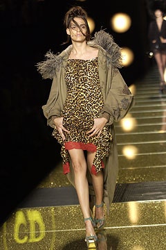 Christian Dior F/W 02 Couture Look 338