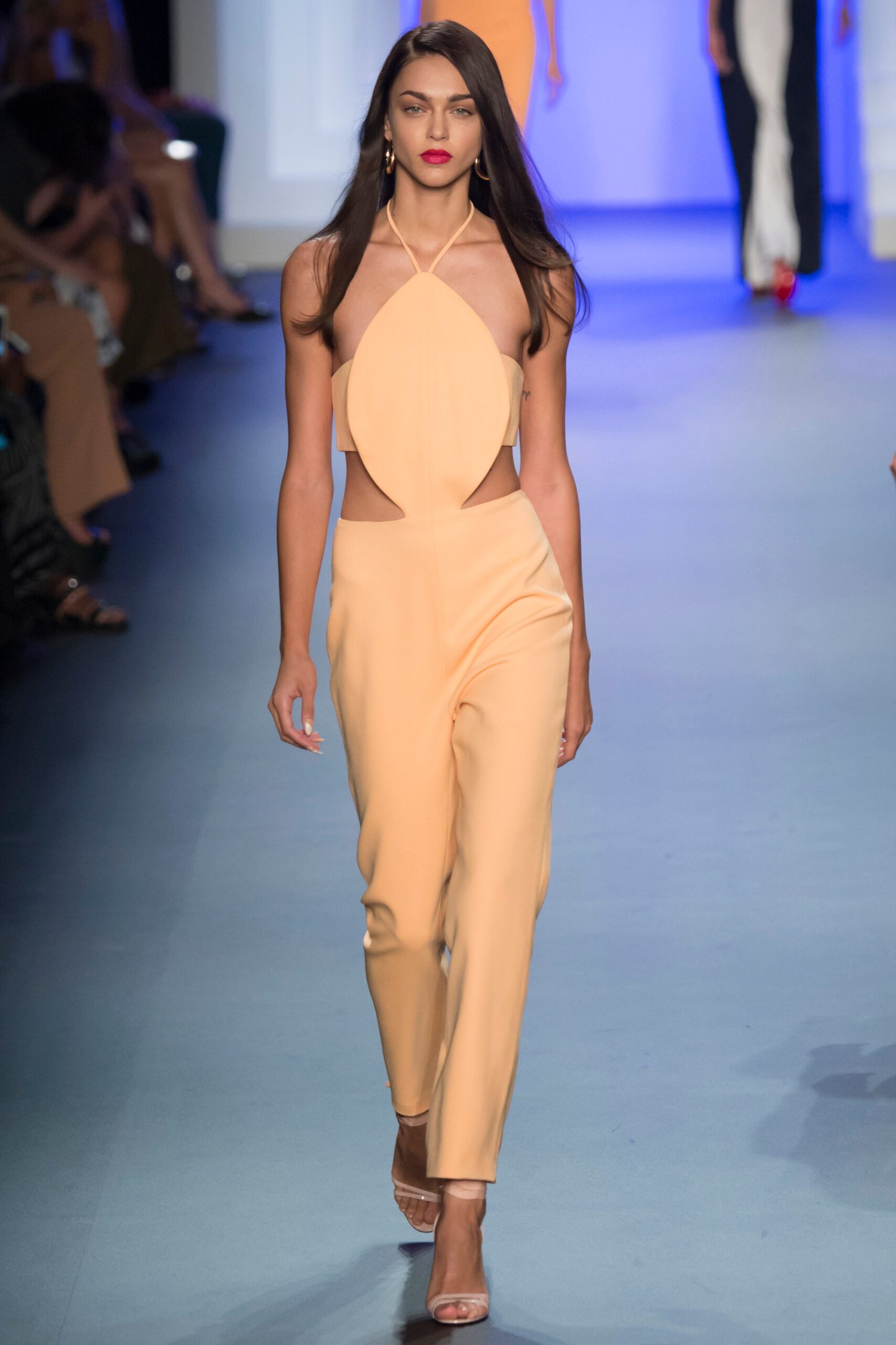 Cushnie et Ochs S/S 17 Look 42