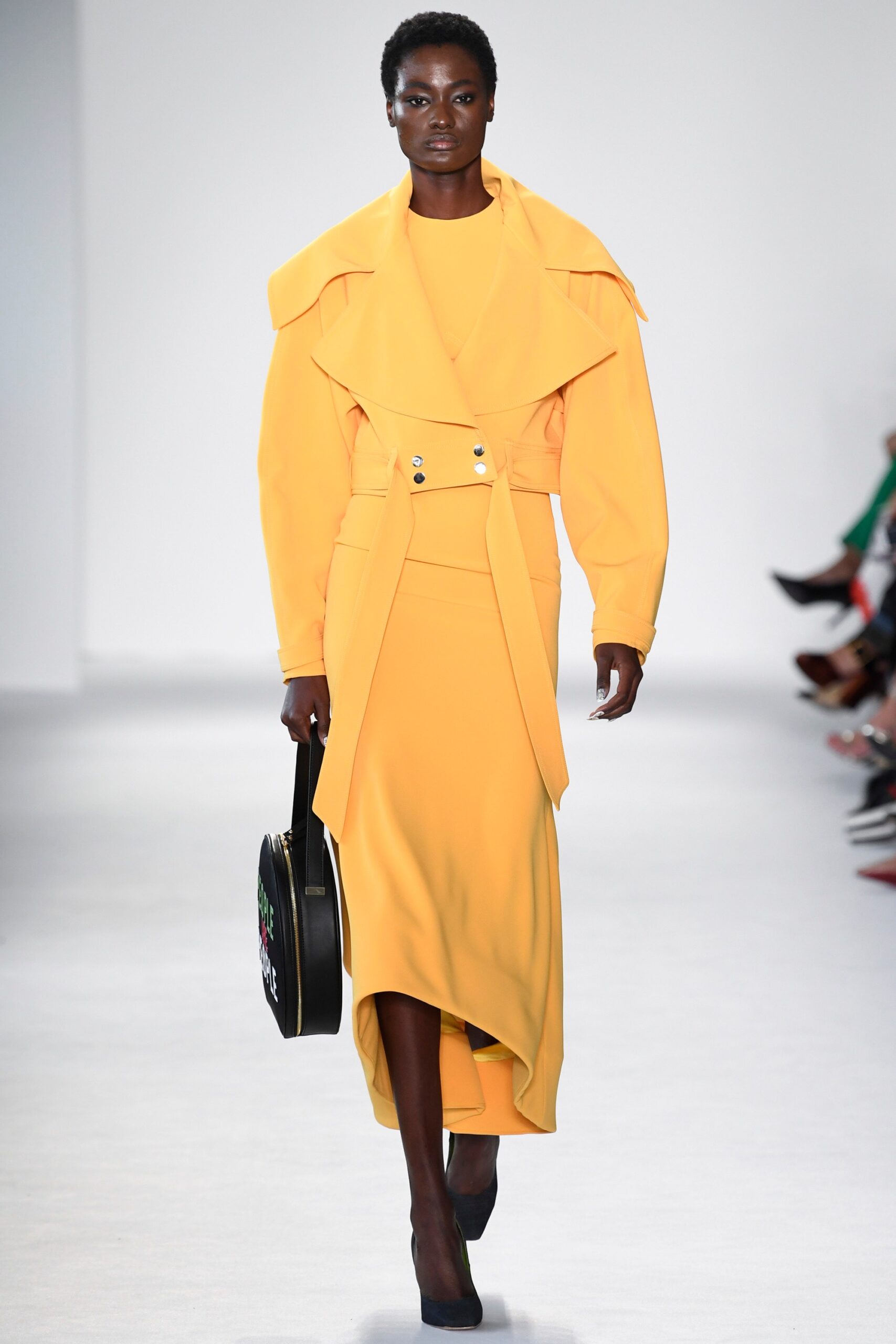 Christian Siriano S/S 18 Look 227