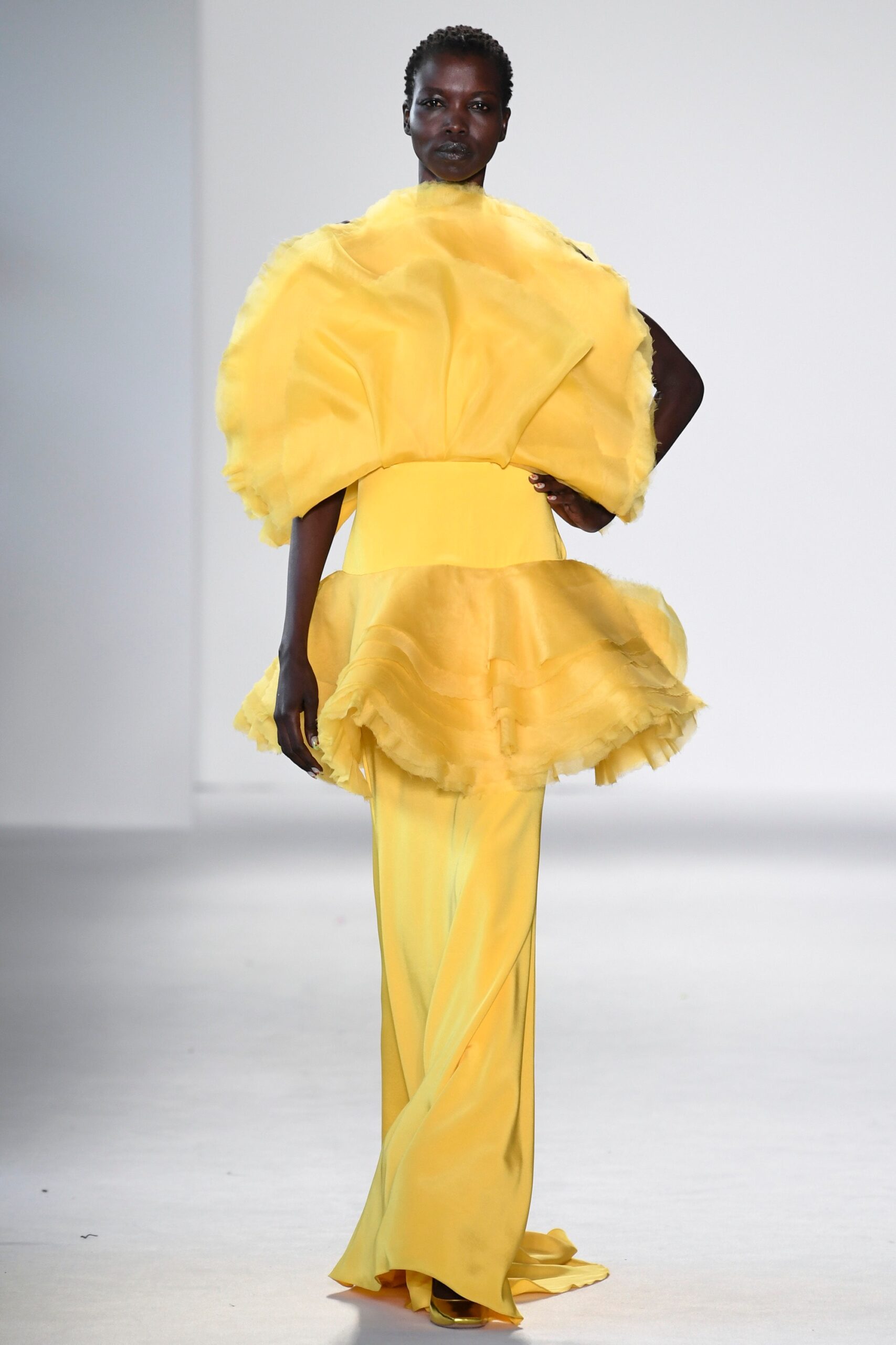 Christian Siriano S/S 18 Look 769