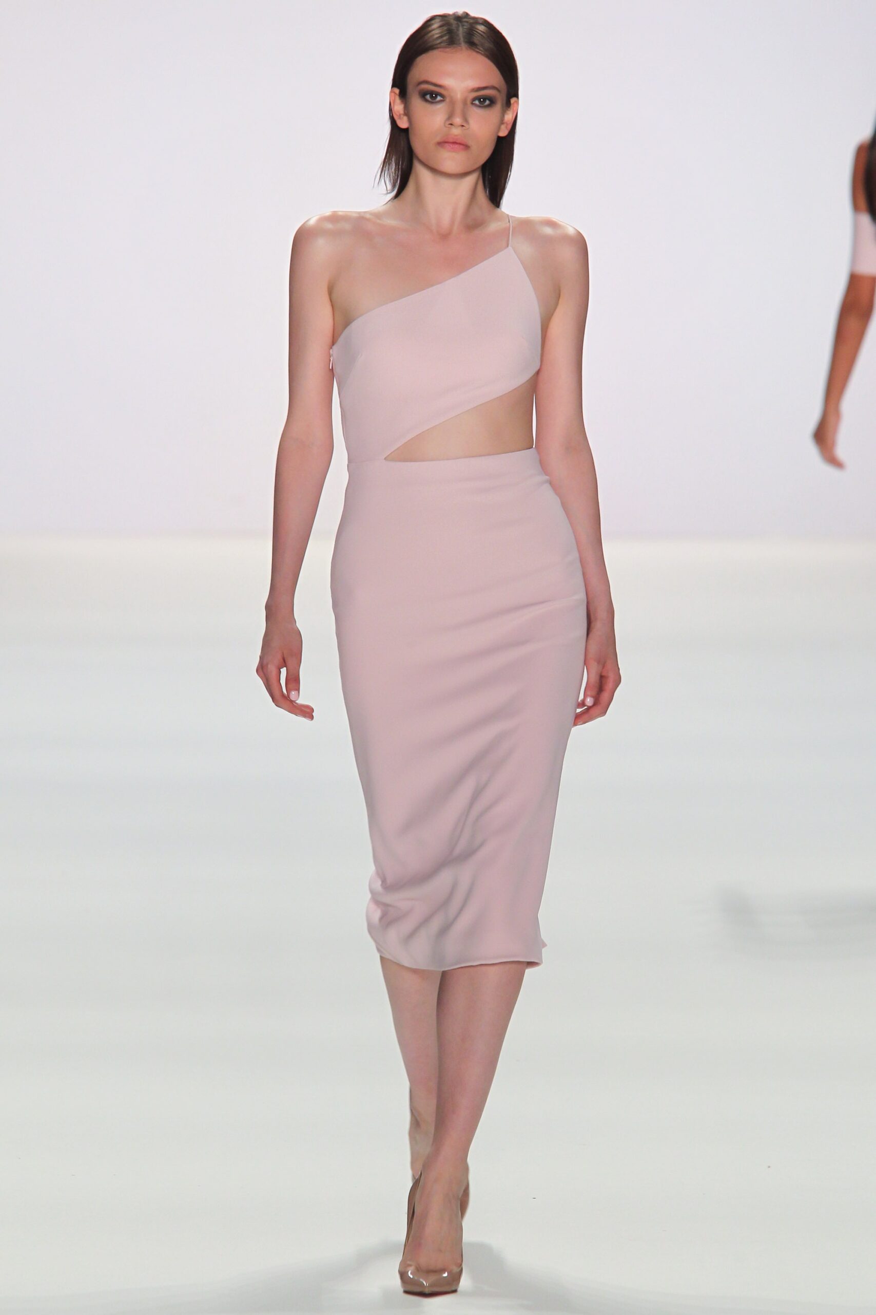 Cushnie et Ochs Berlin S/S 17 Look 41