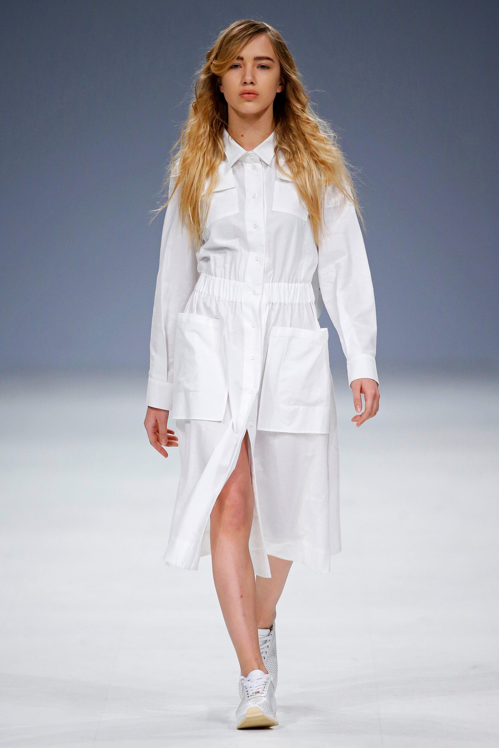 Domanoff Ukraine Fall 2016
