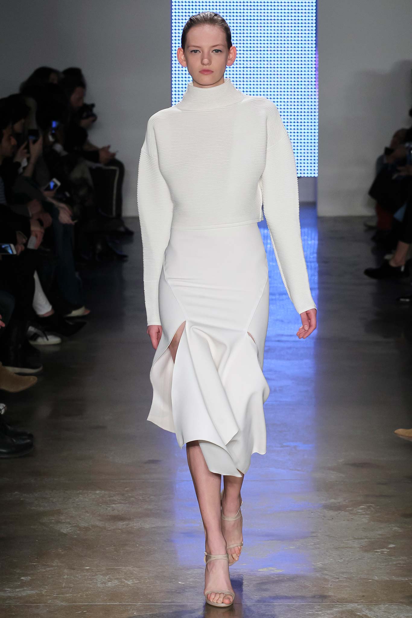 Dion Lee F/W 15 Look 2