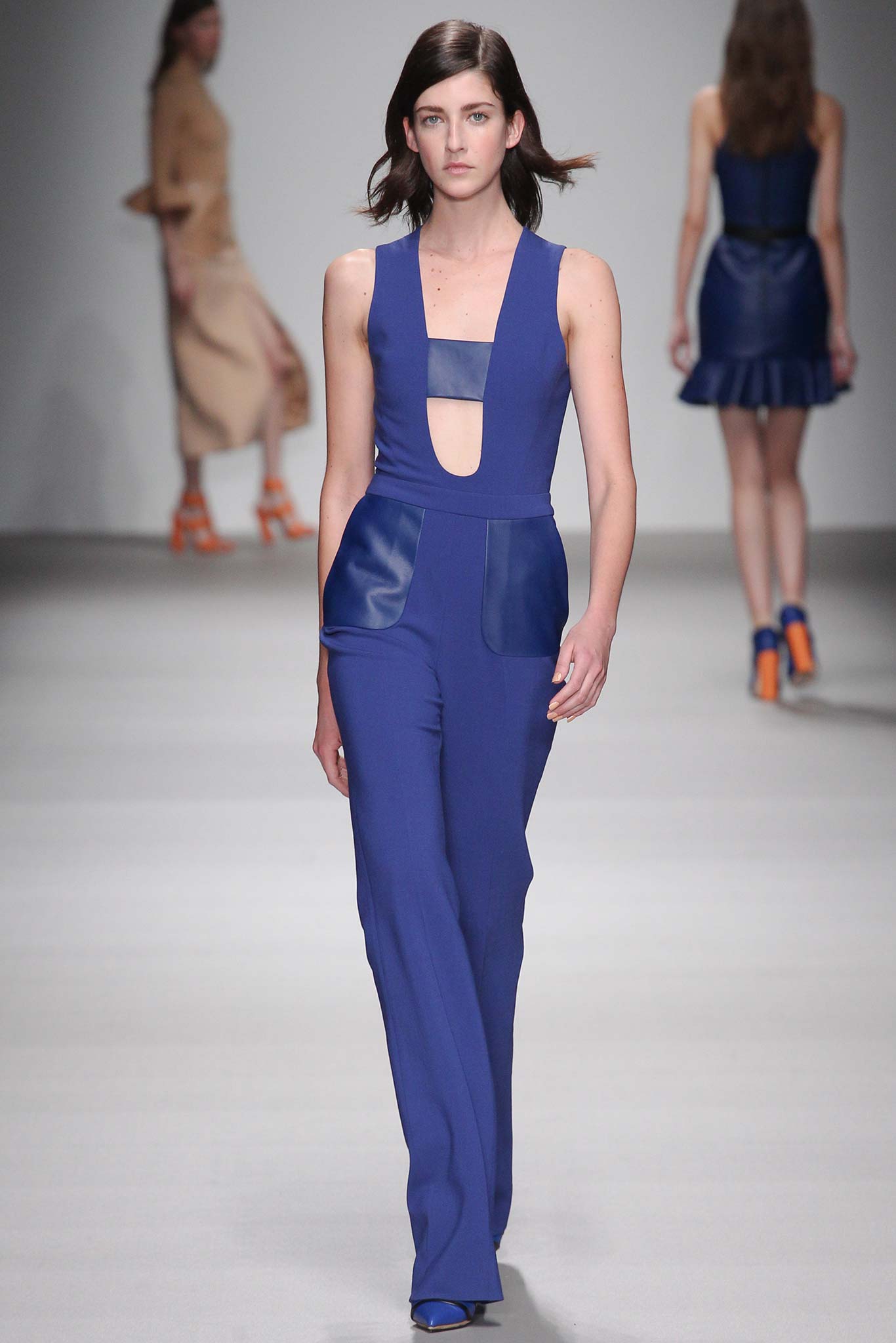 David Koma F/W 15 Look 47