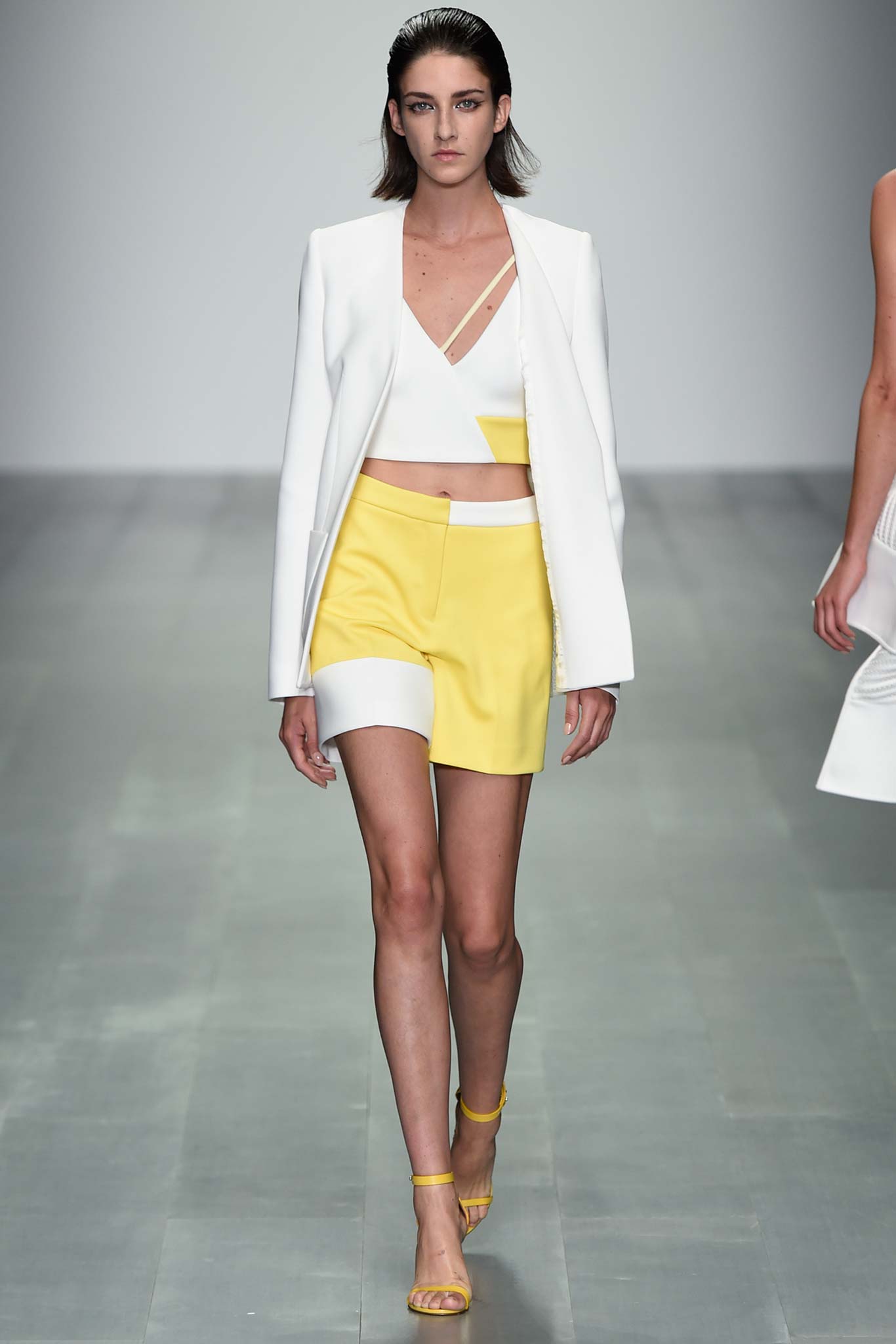 David Koma S/S 15 Look 7