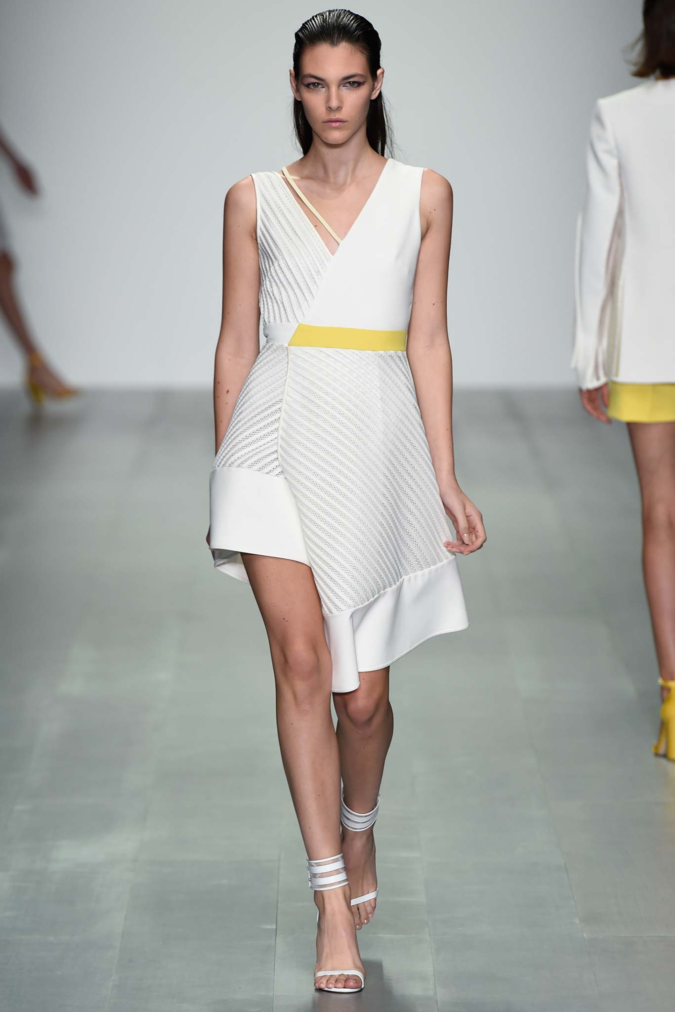 David Koma S/S 15 Look 10