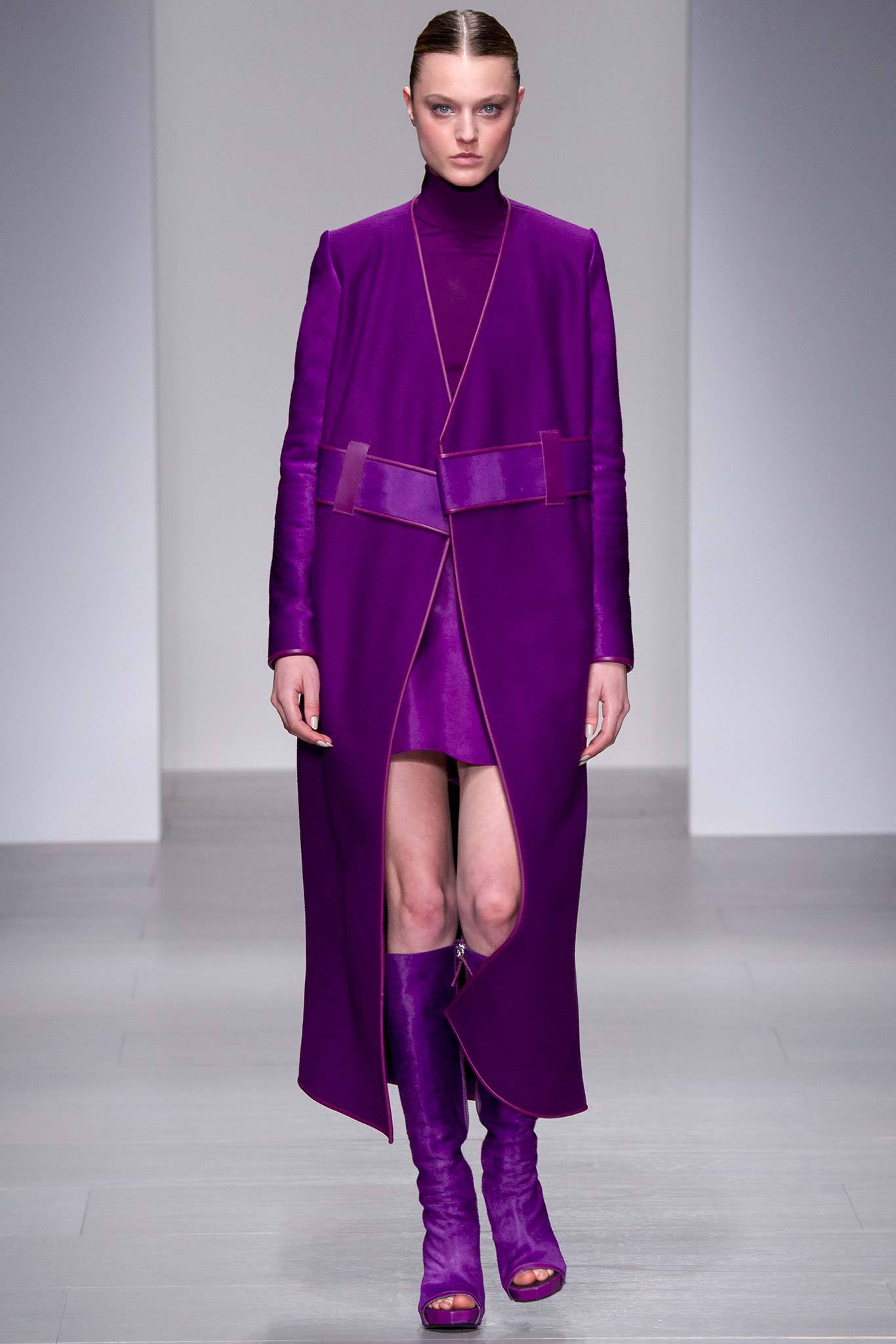 David Koma F/W 14 Look 5