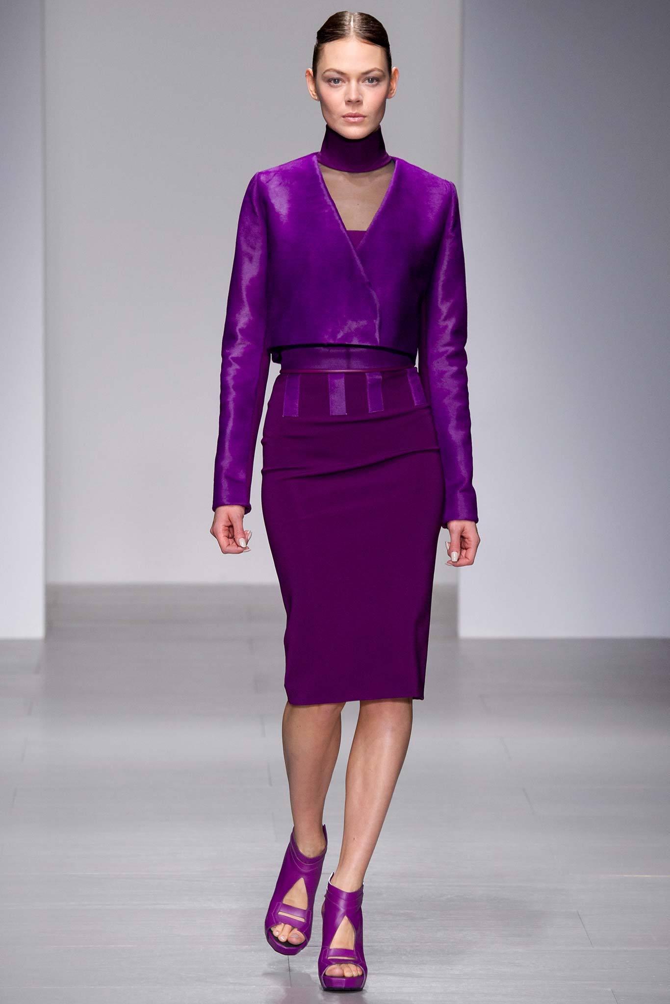 David Koma F/W 14 Look 6