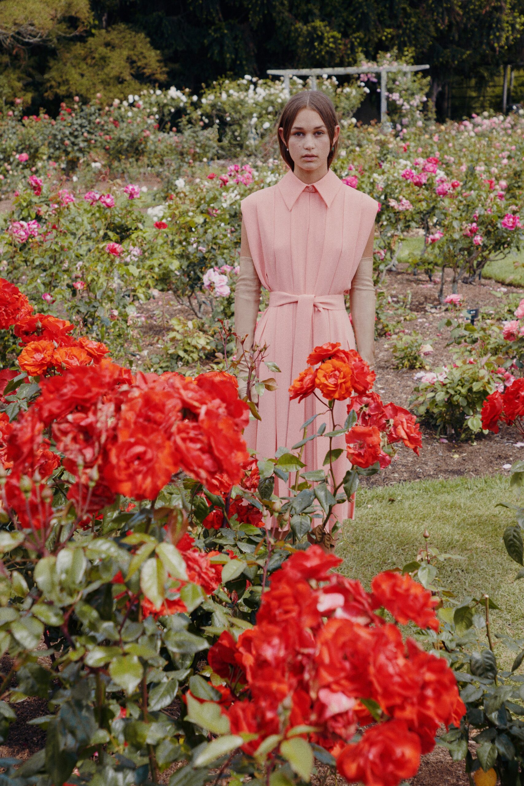 Emilia Wickstead F/W 19 Look 29