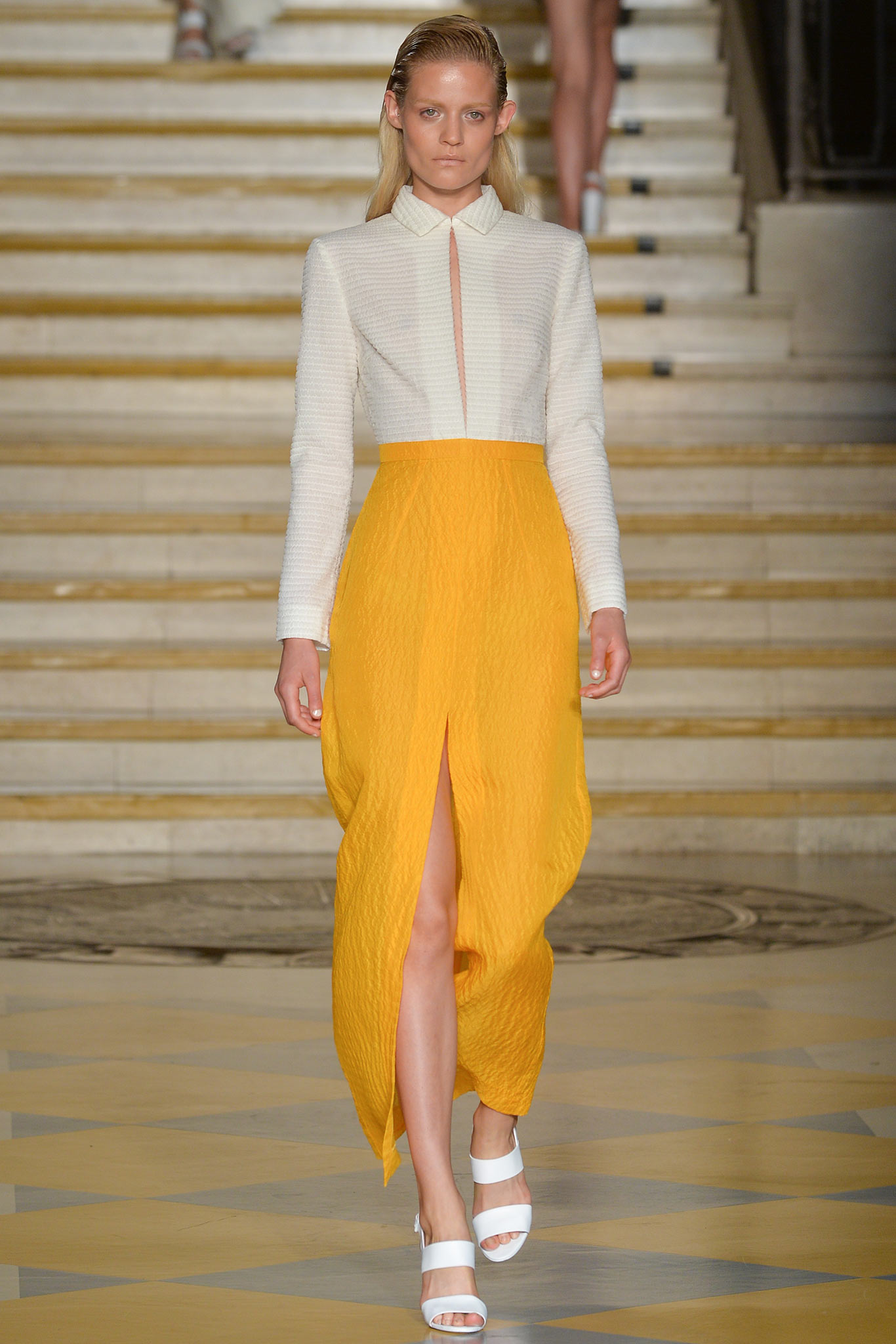 Emilia Wickstead S/S 15 Look 19