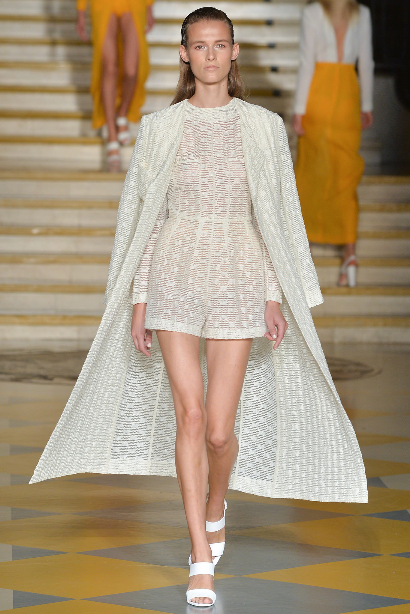 Emilia Wickstead S/S 15 Look 21