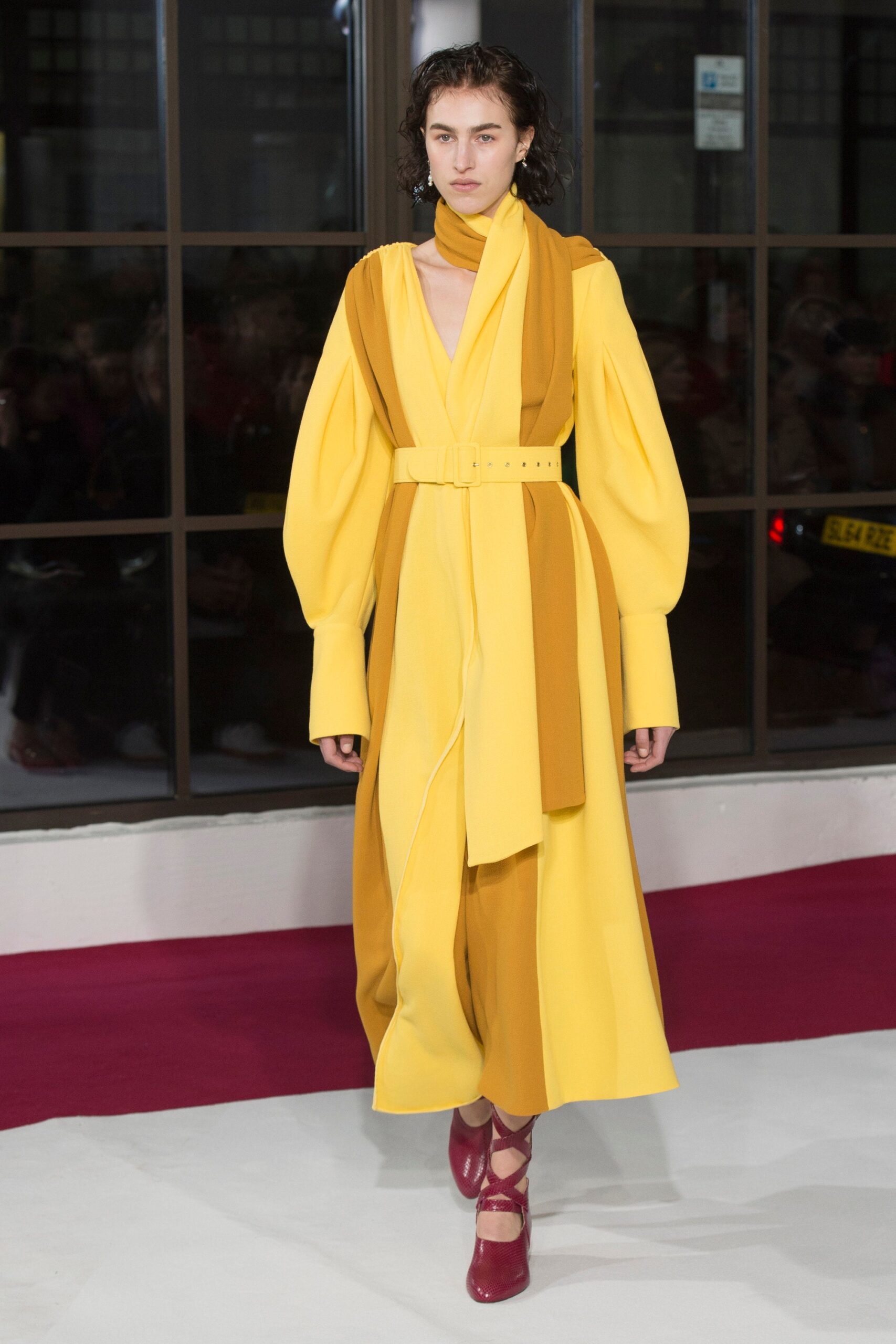 Emilia Wickstead F/W 18 Look 9