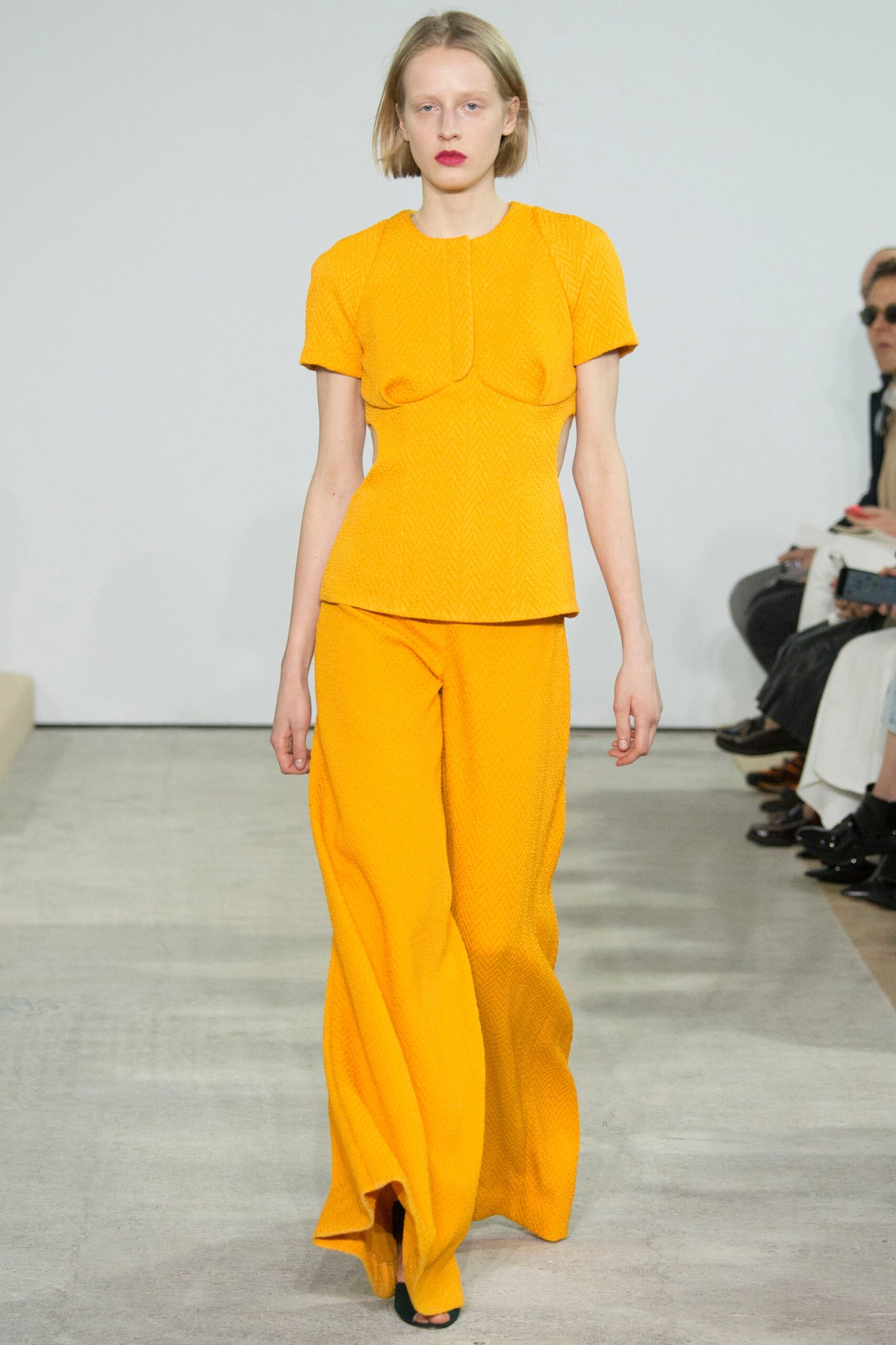Emilia Wickstead F/W 16 Look 18