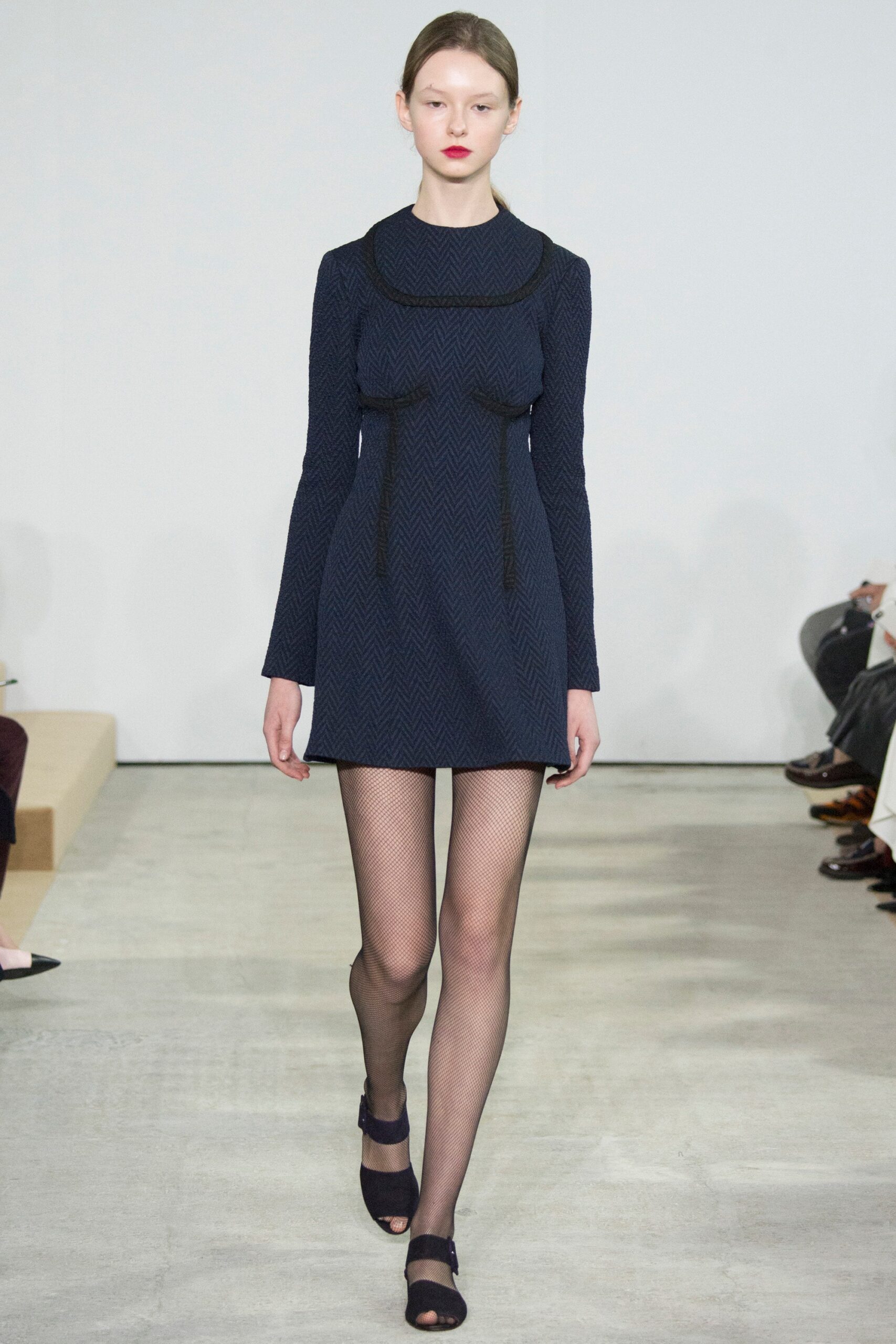 Emilia Wickstead F/W 16 Look 25