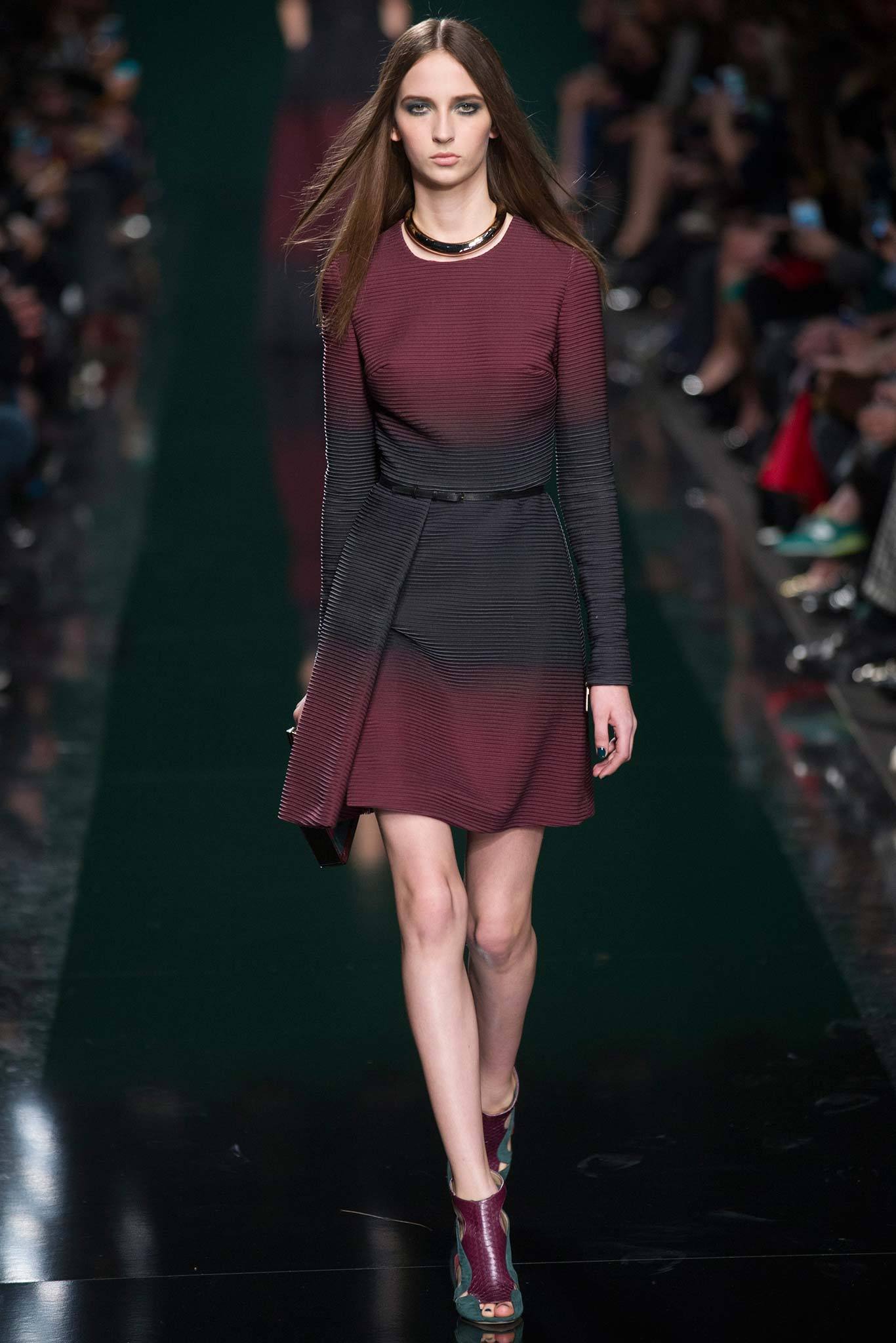 Elie Saab F/W 14 Look 6